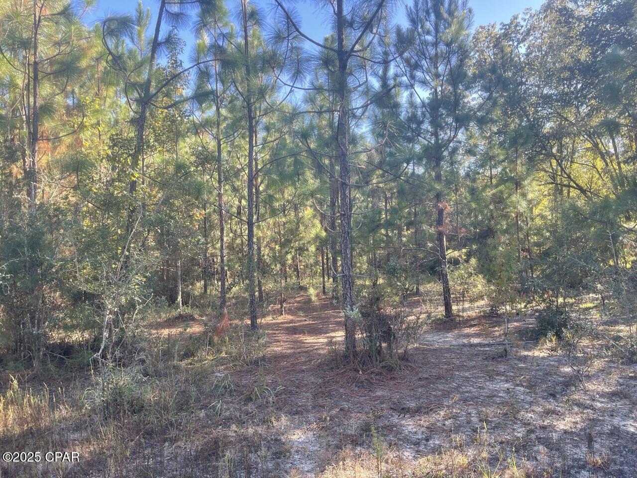 Listing photo id 18 for 0000 Arrant Road