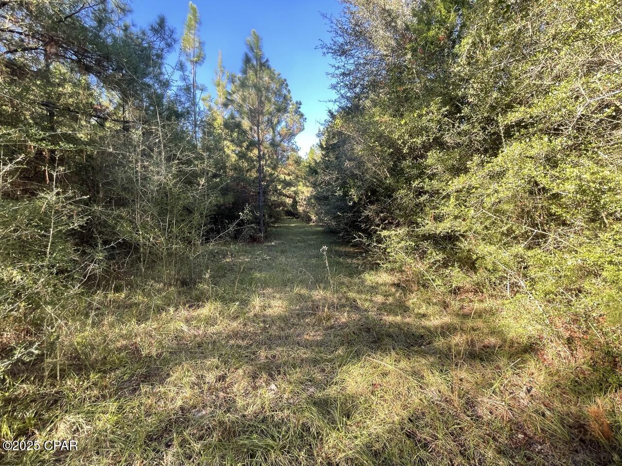 Image 19 For 0000 Arrant Road