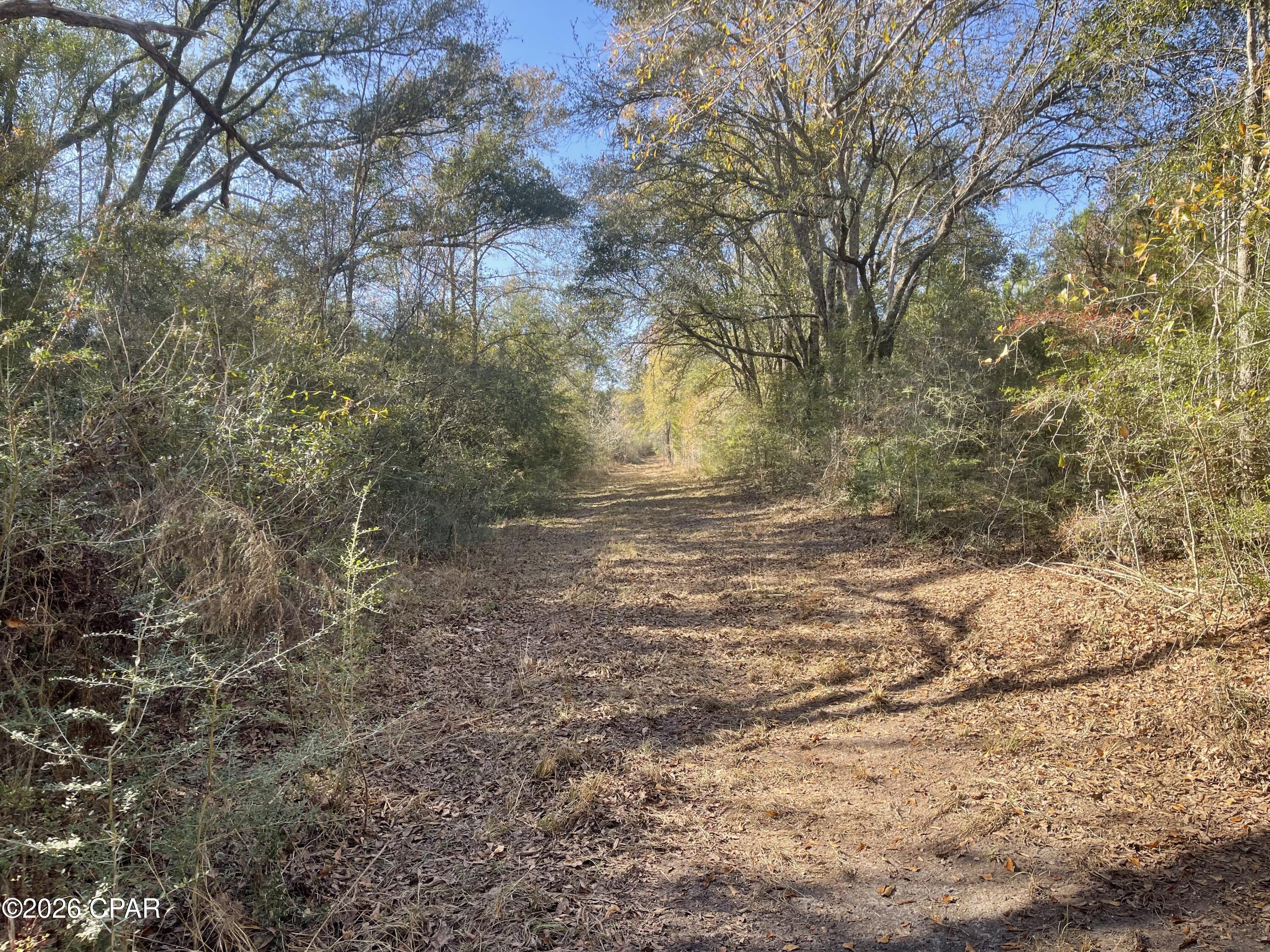 Listing photo id 23 for 0000 Arrant Road