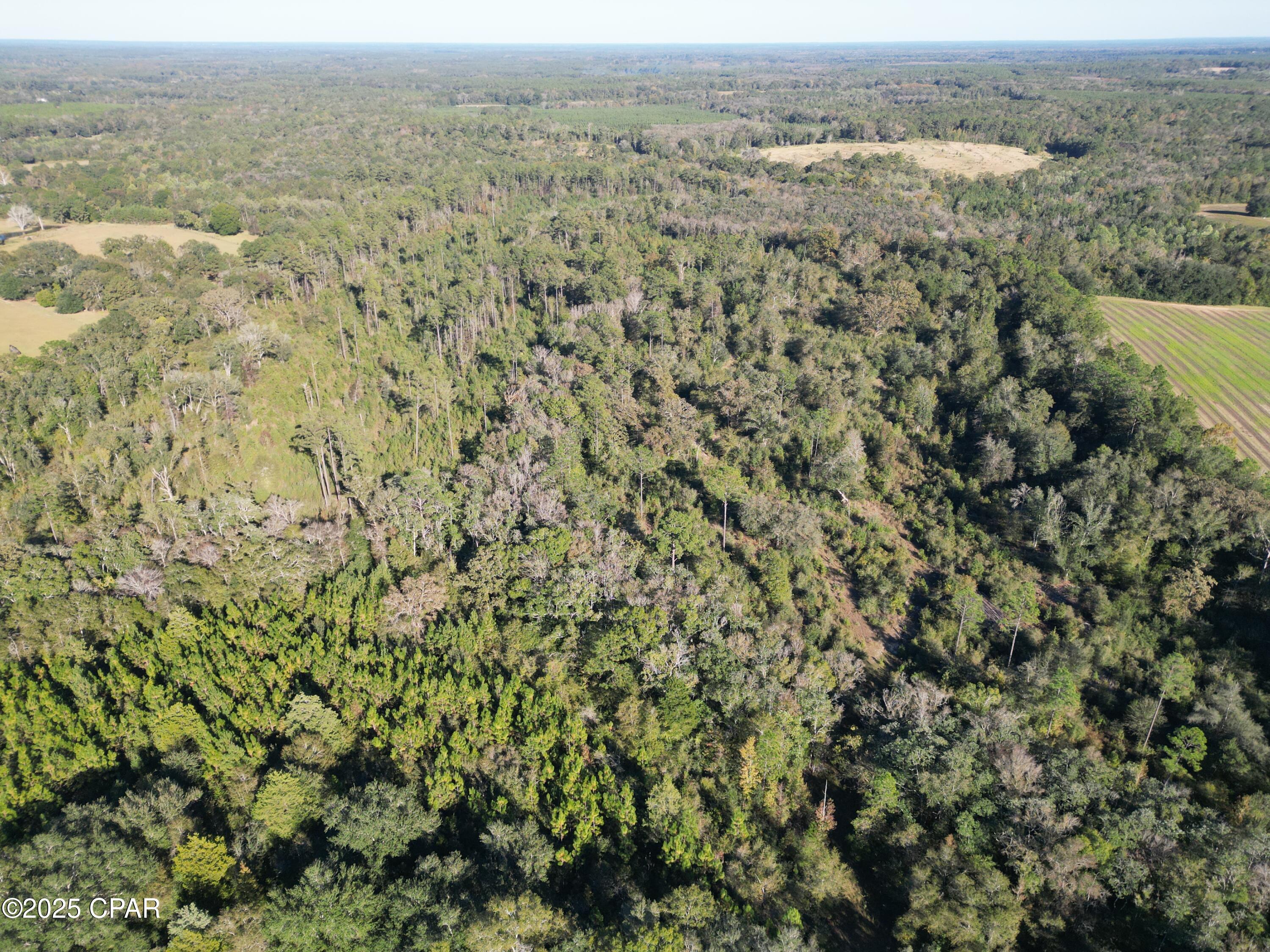 Image 3 For 0000 Arrant Road