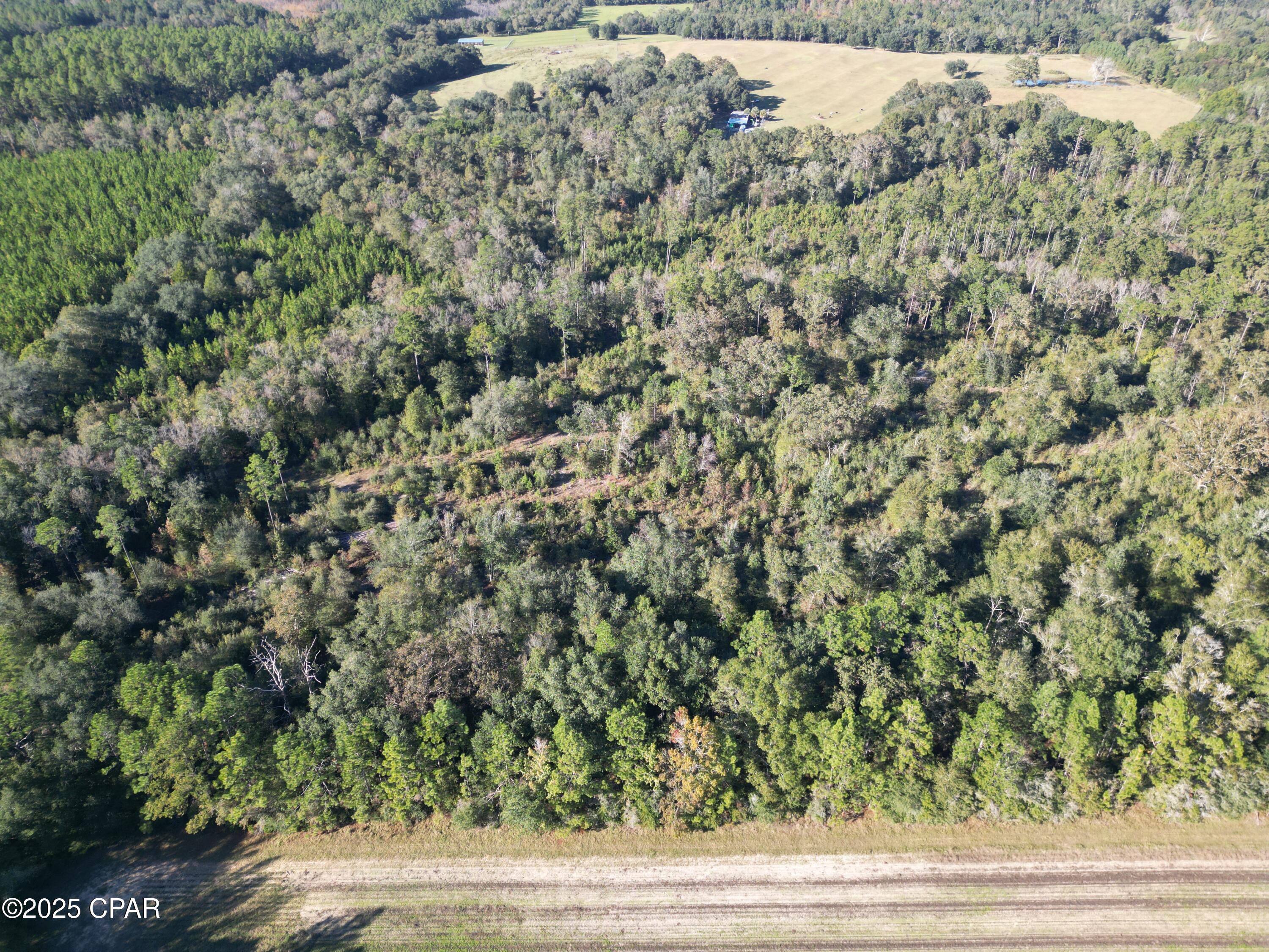 Image 5 For 0000 Arrant Road