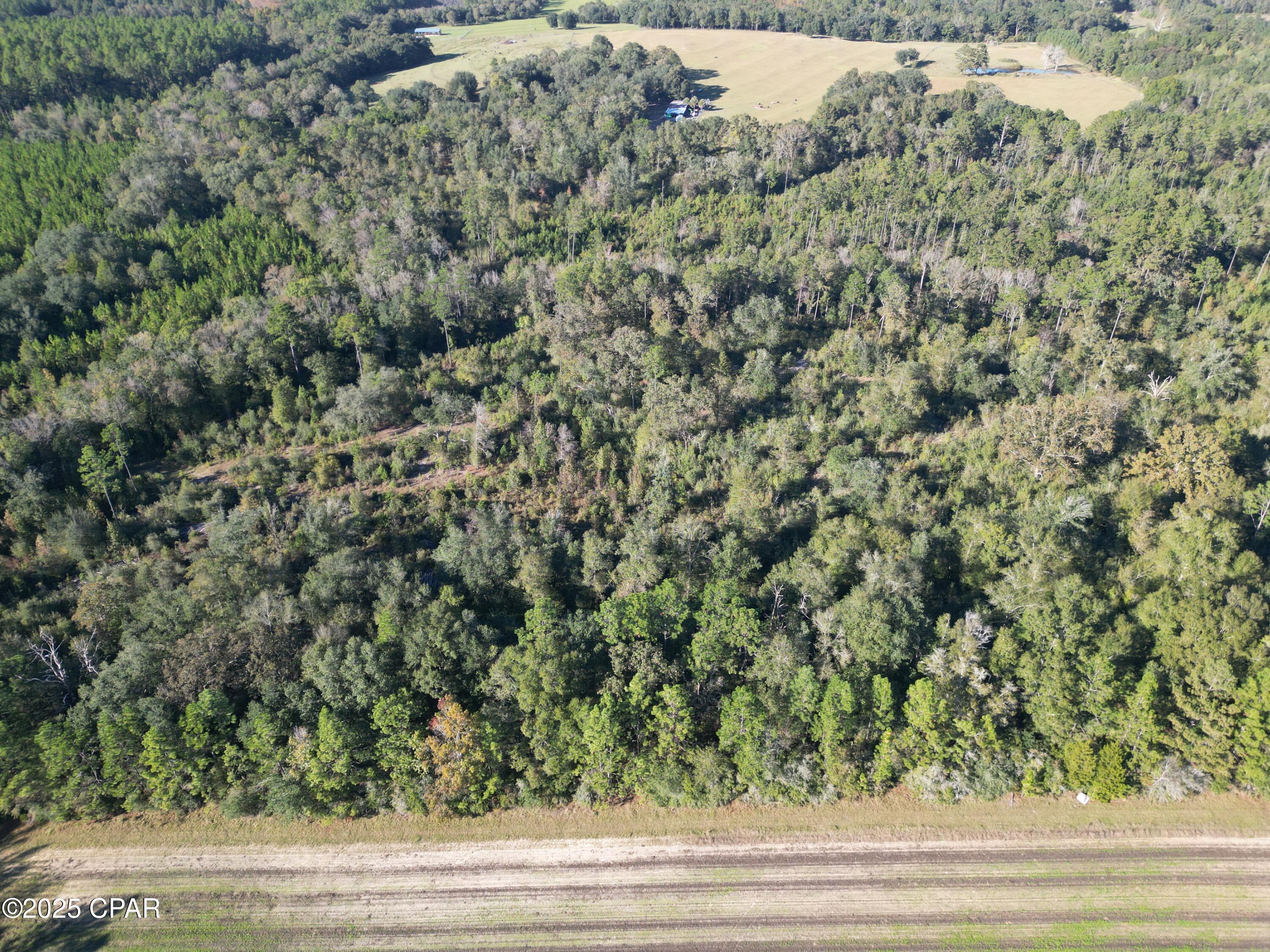 Listing photo id 7 for 0000 Arrant Road