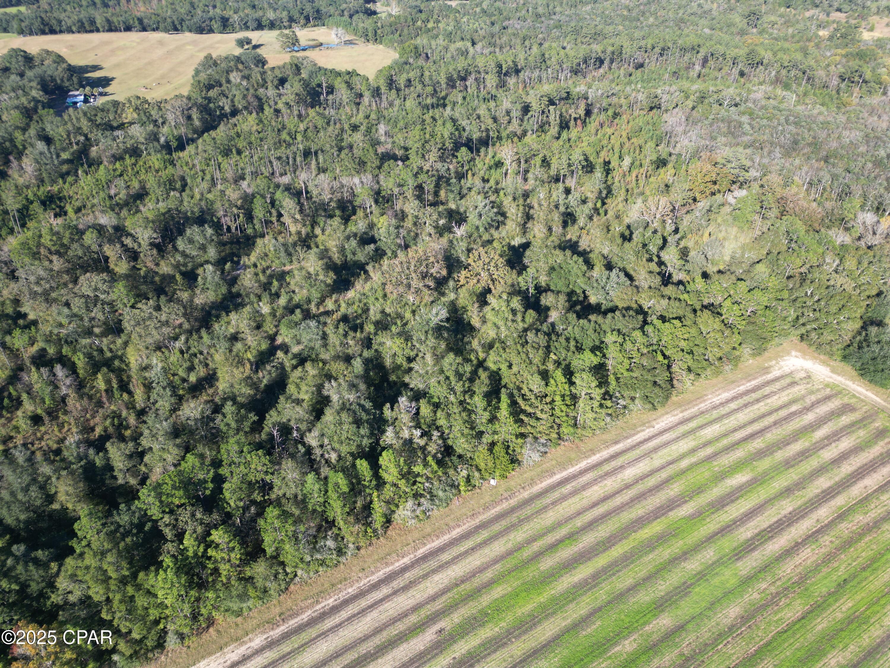 Listing photo id 8 for 0000 Arrant Road