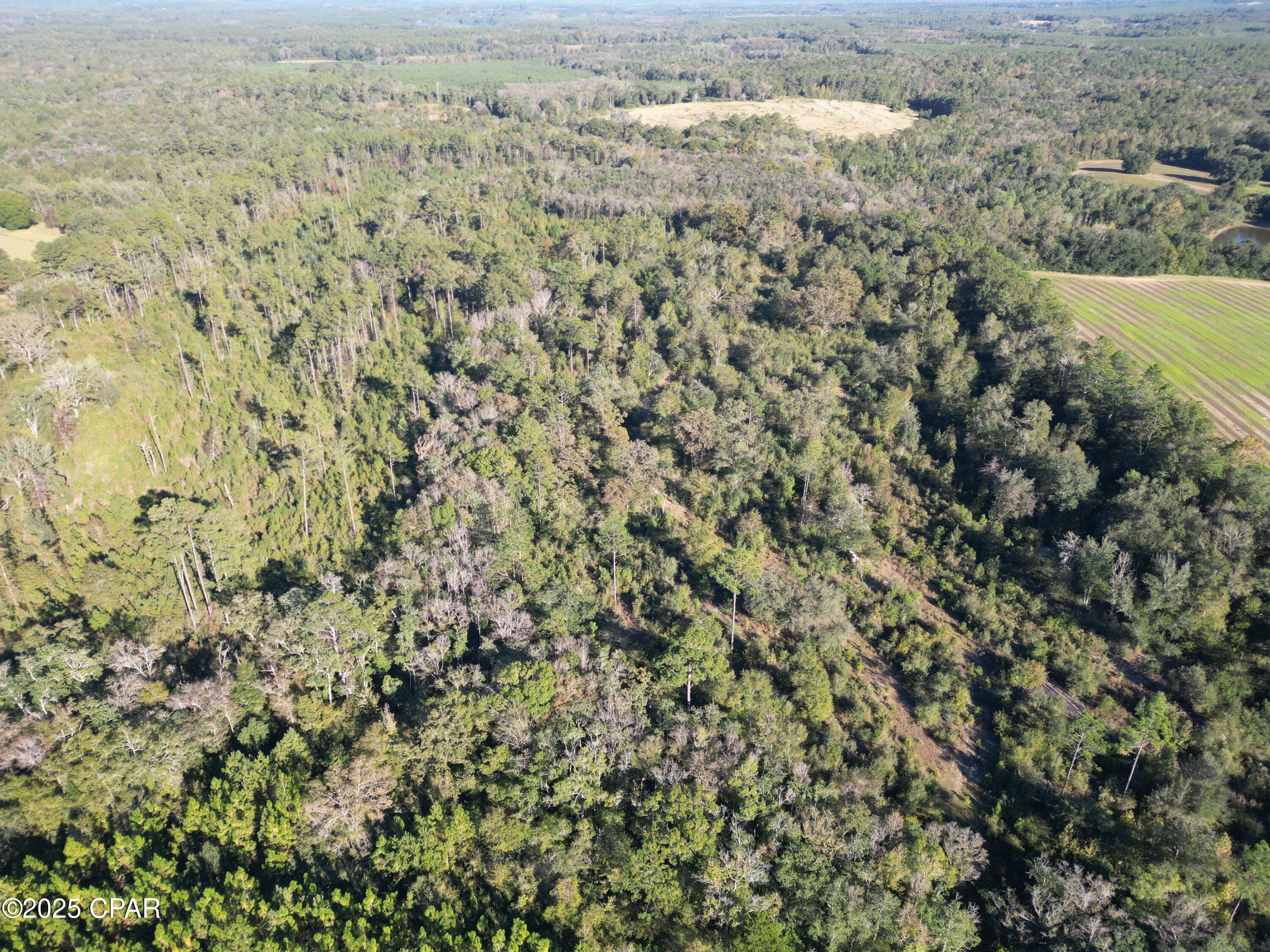 Image 9 For 0000 Arrant Road