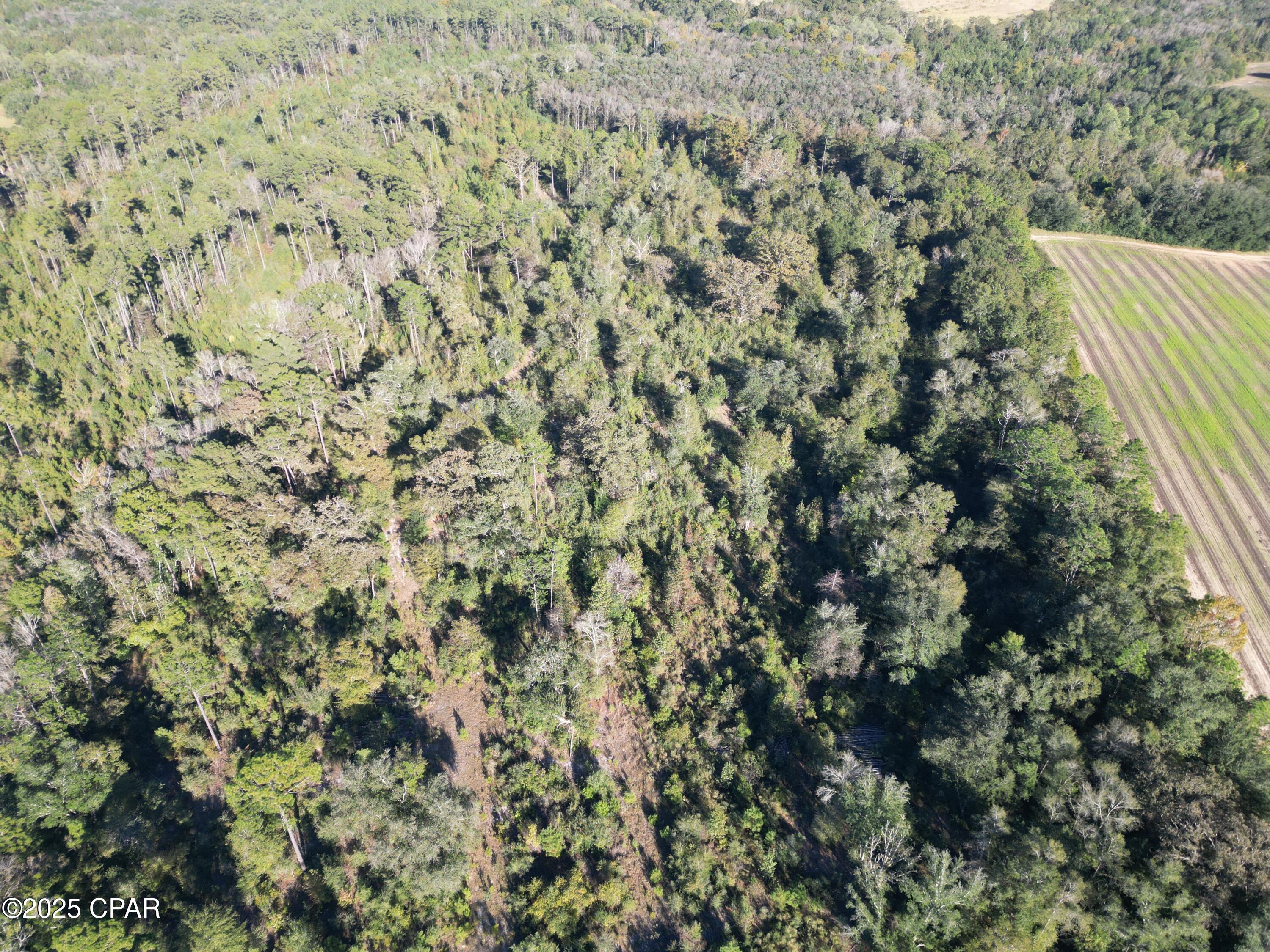 Listing photo id 9 for 0000 Arrant Road