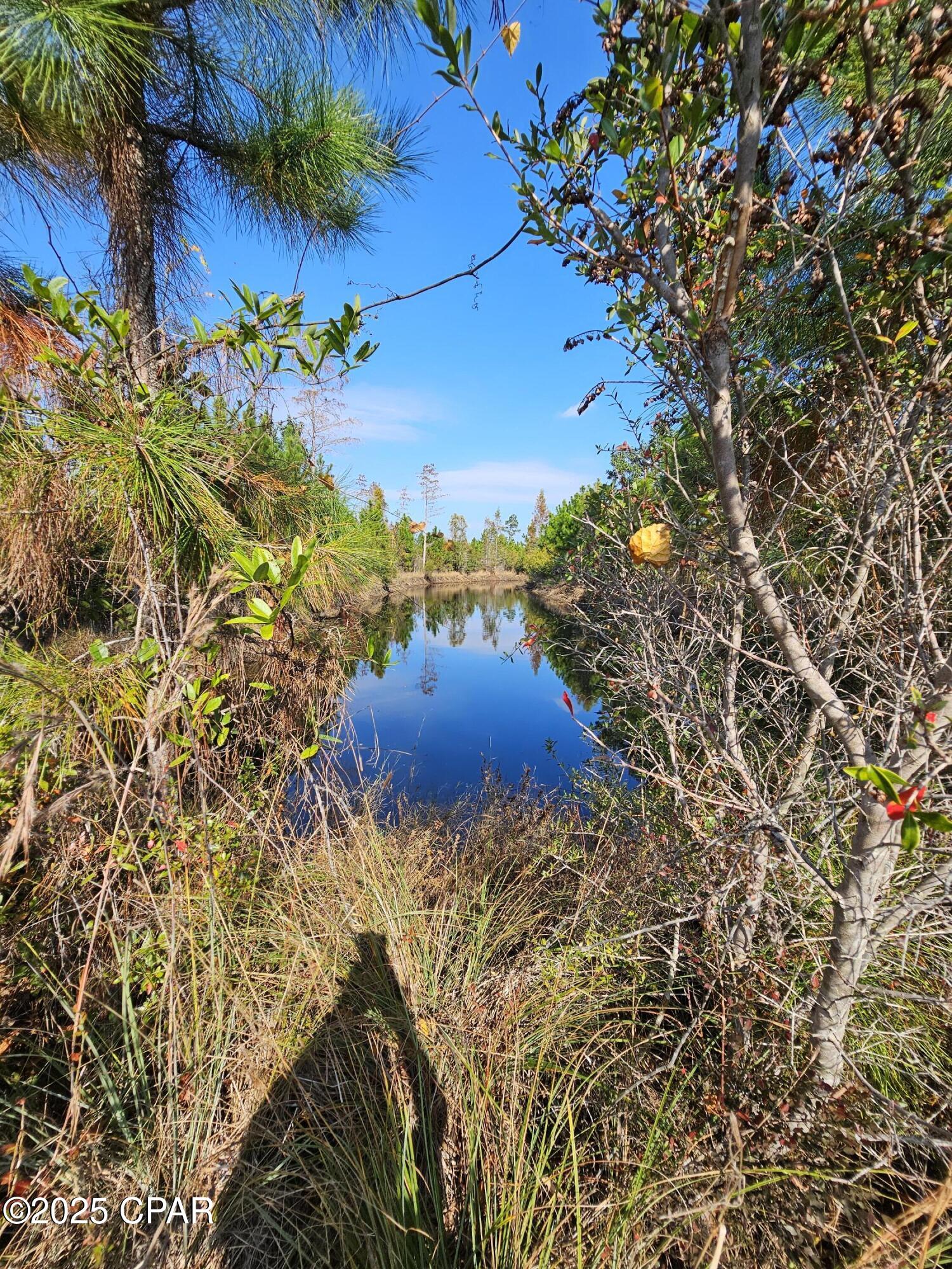 Image 35 For 140 Elm Way 