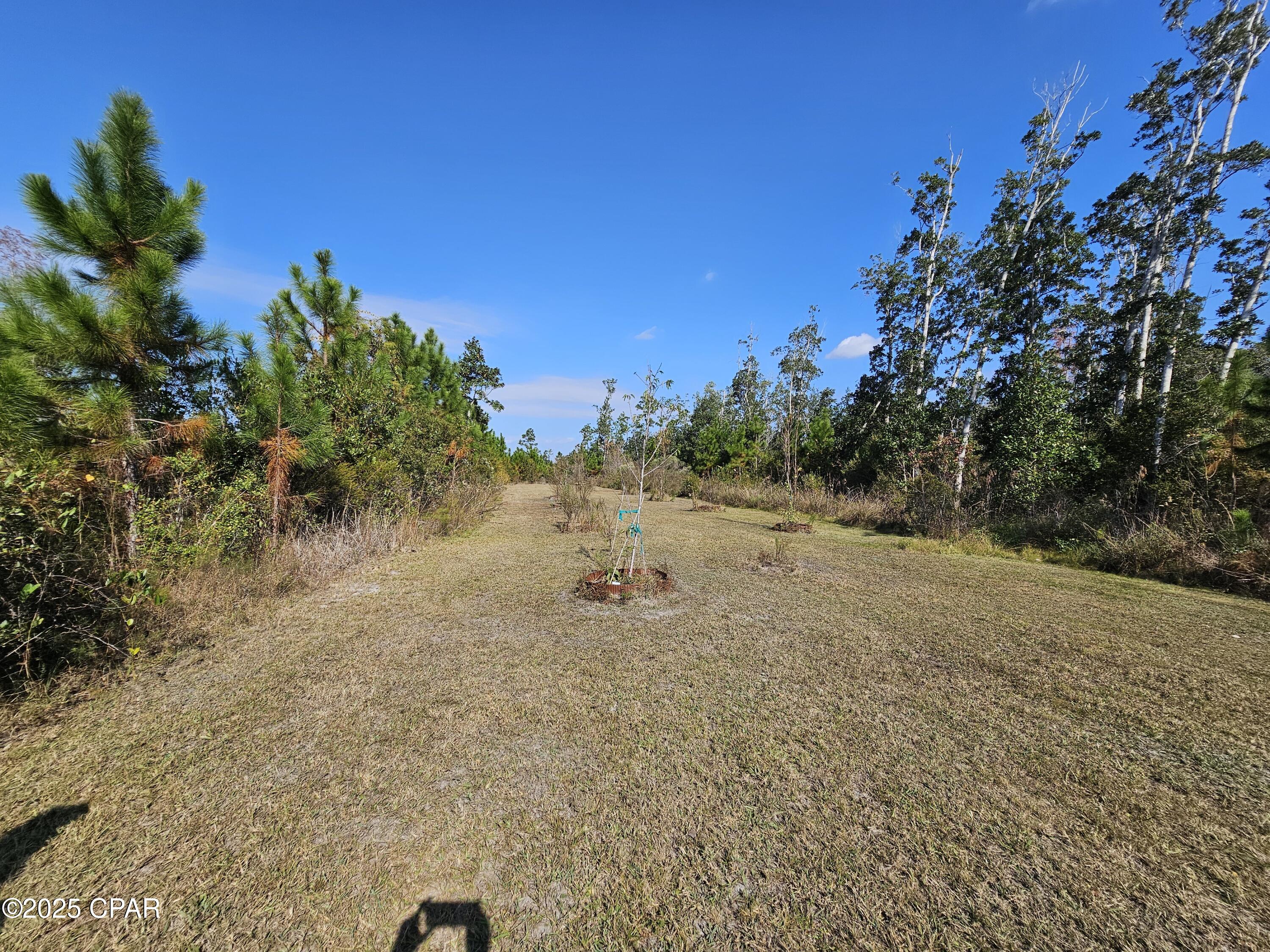 Image 37 For 140 Elm Way 