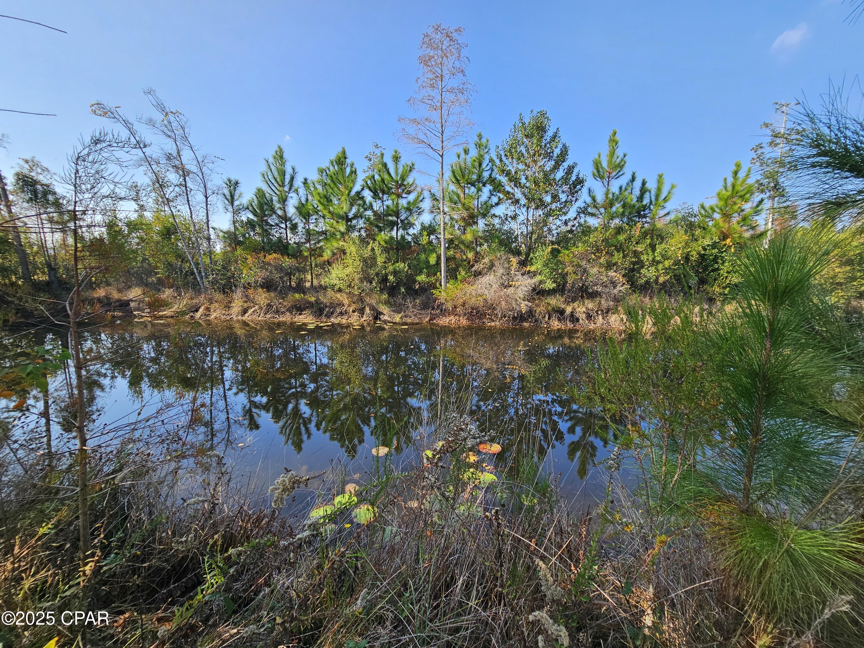 Image 38 For 140 Elm Way 