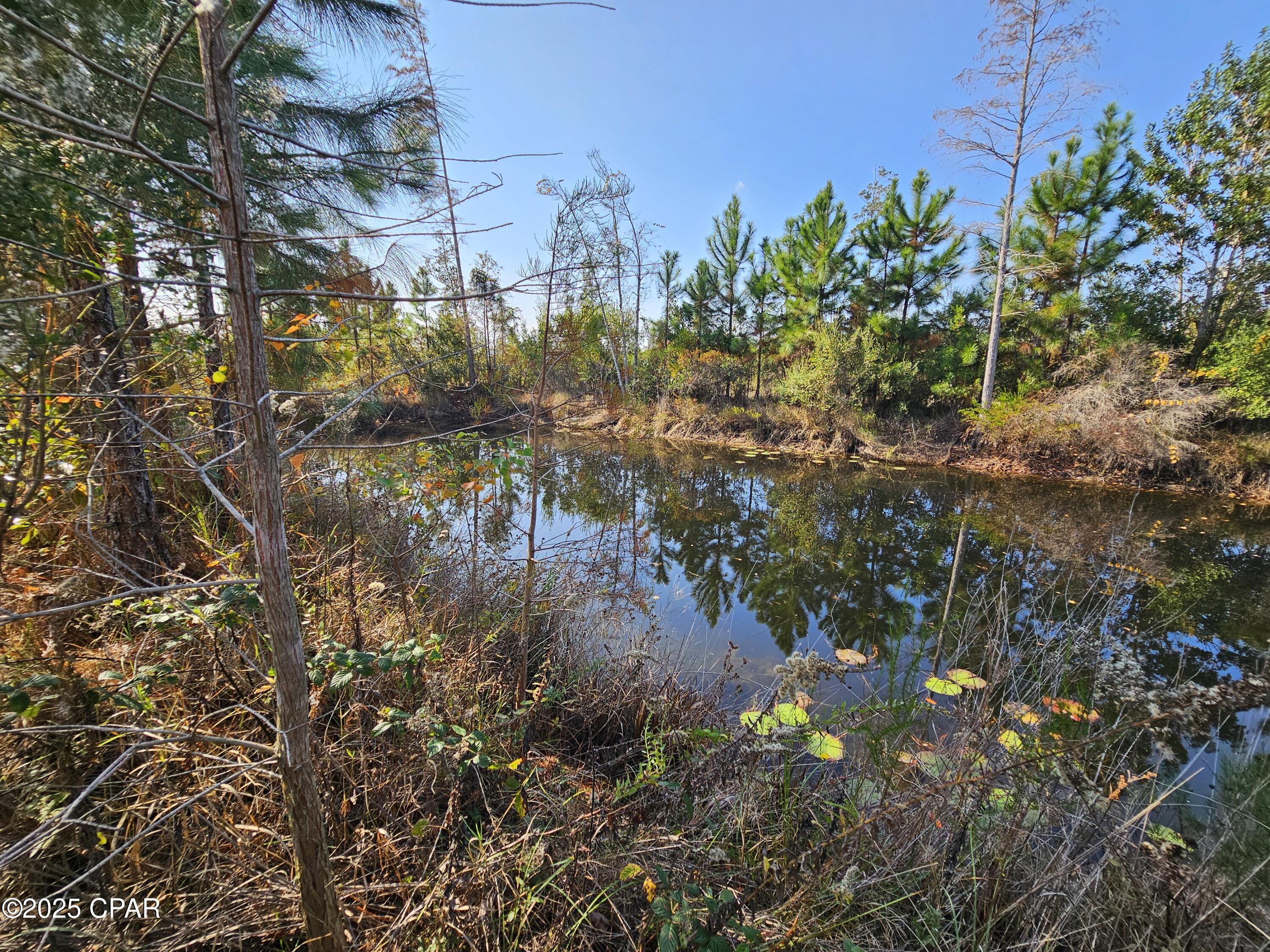 Image 39 For 140 Elm Way 