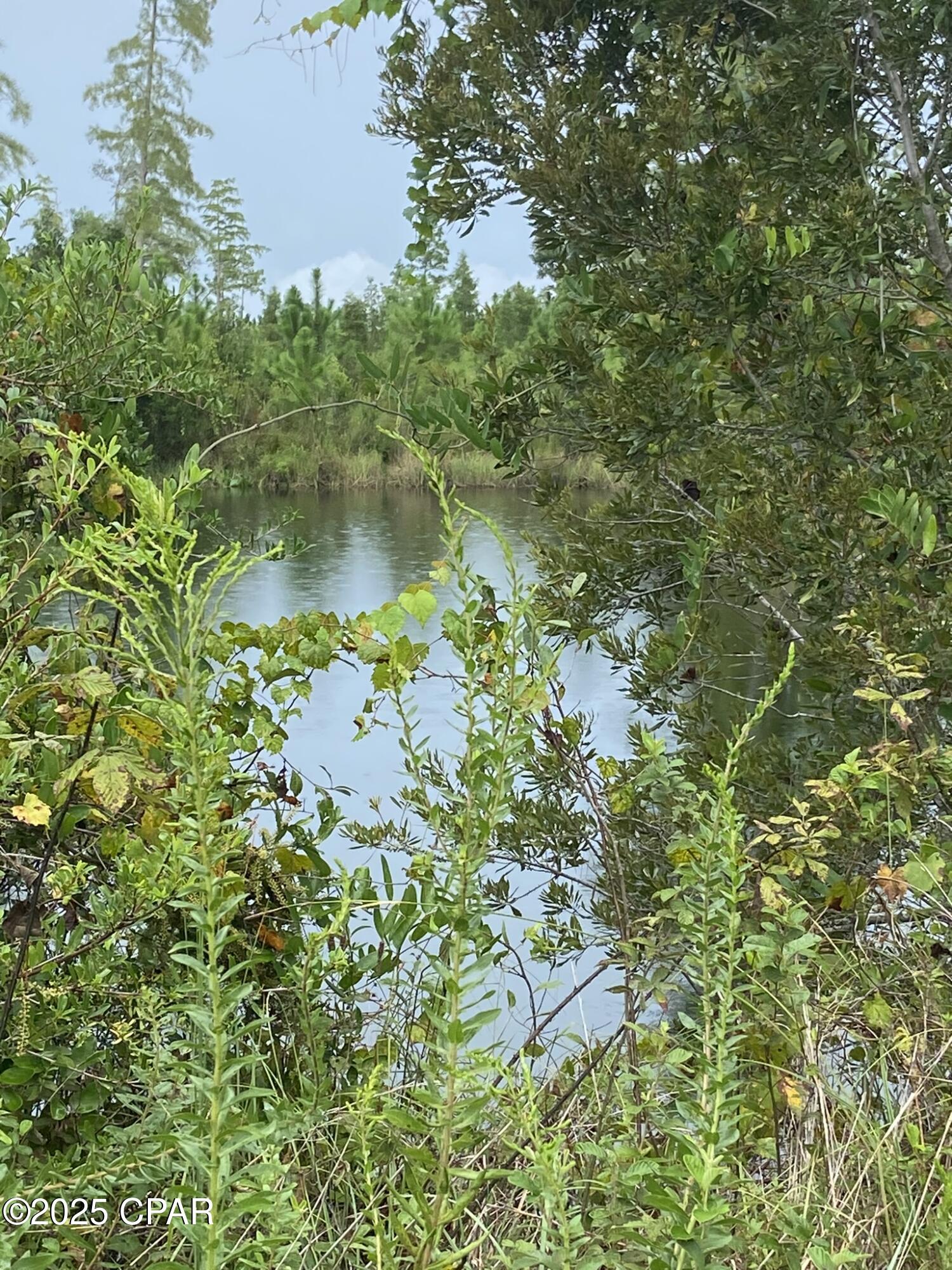 Image 43 For 140 Elm Way 