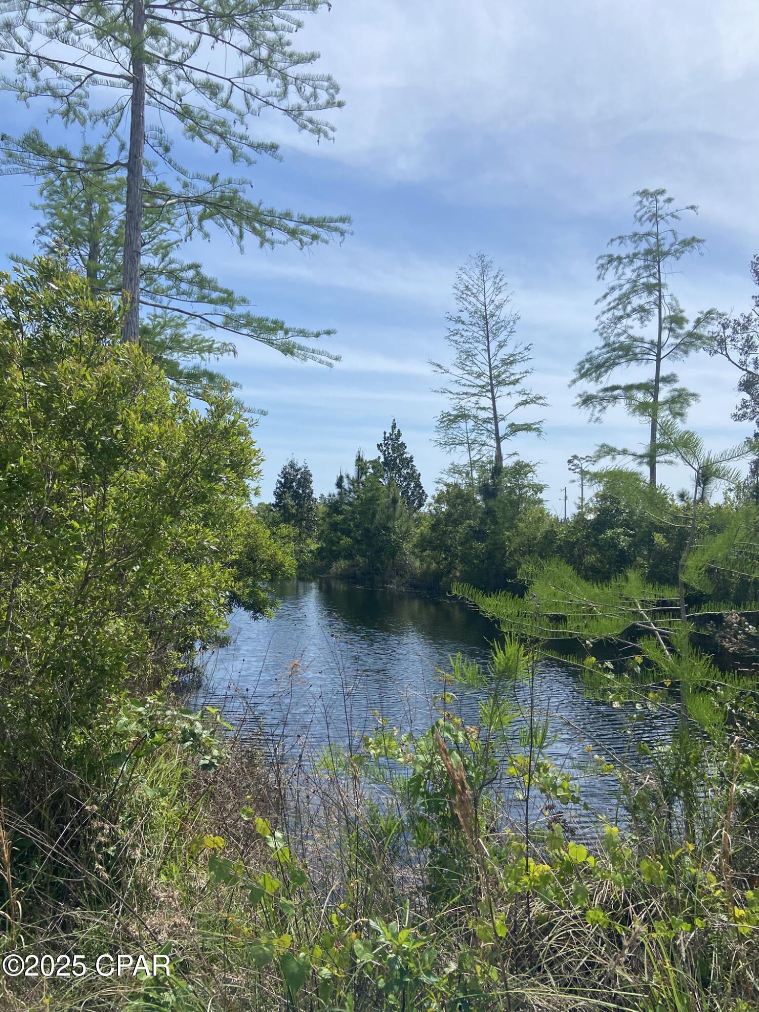 Image 44 For 140 Elm Way 