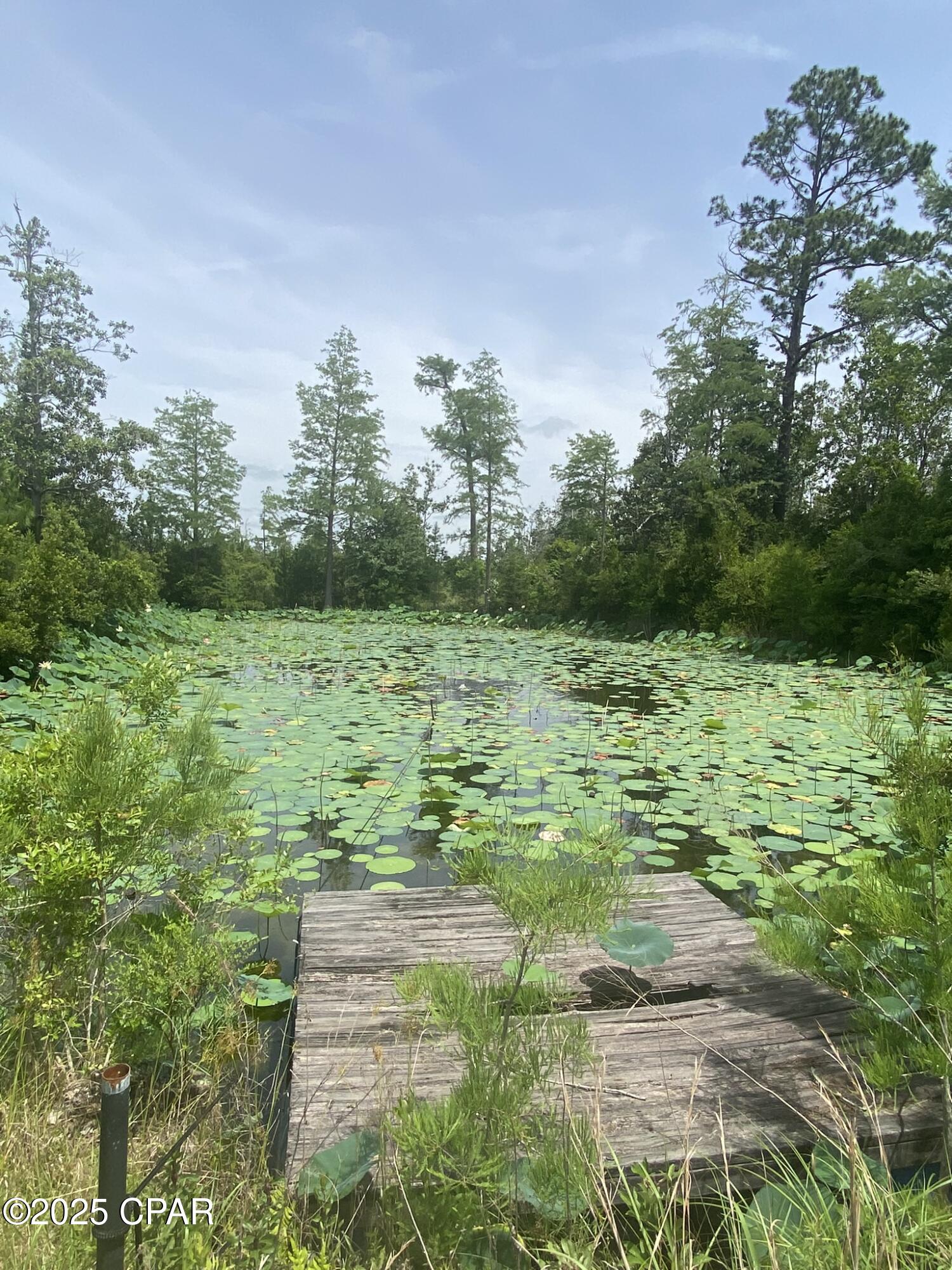 Image 47 For 140 Elm Way 