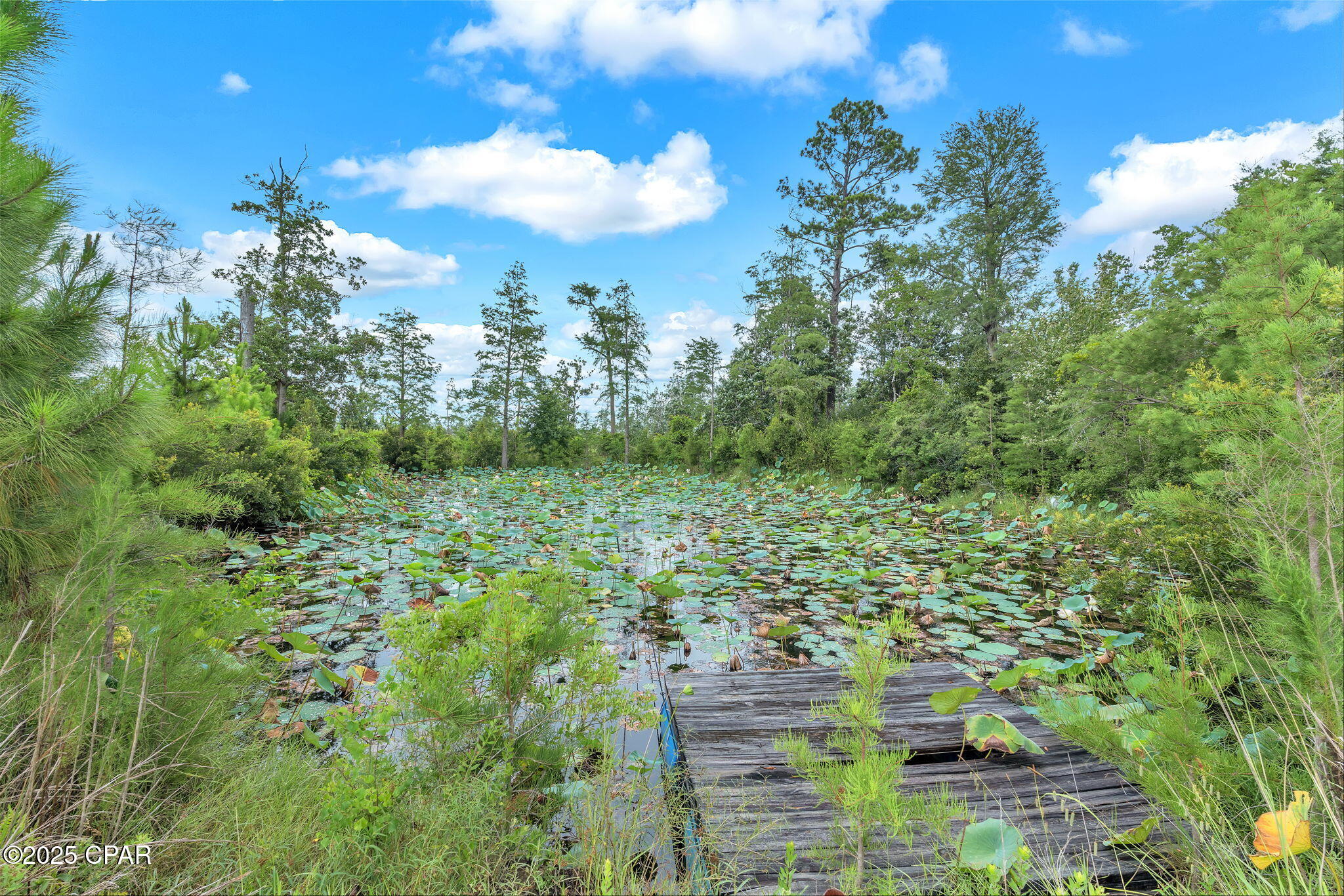 Image 5 For 140 Elm Way 