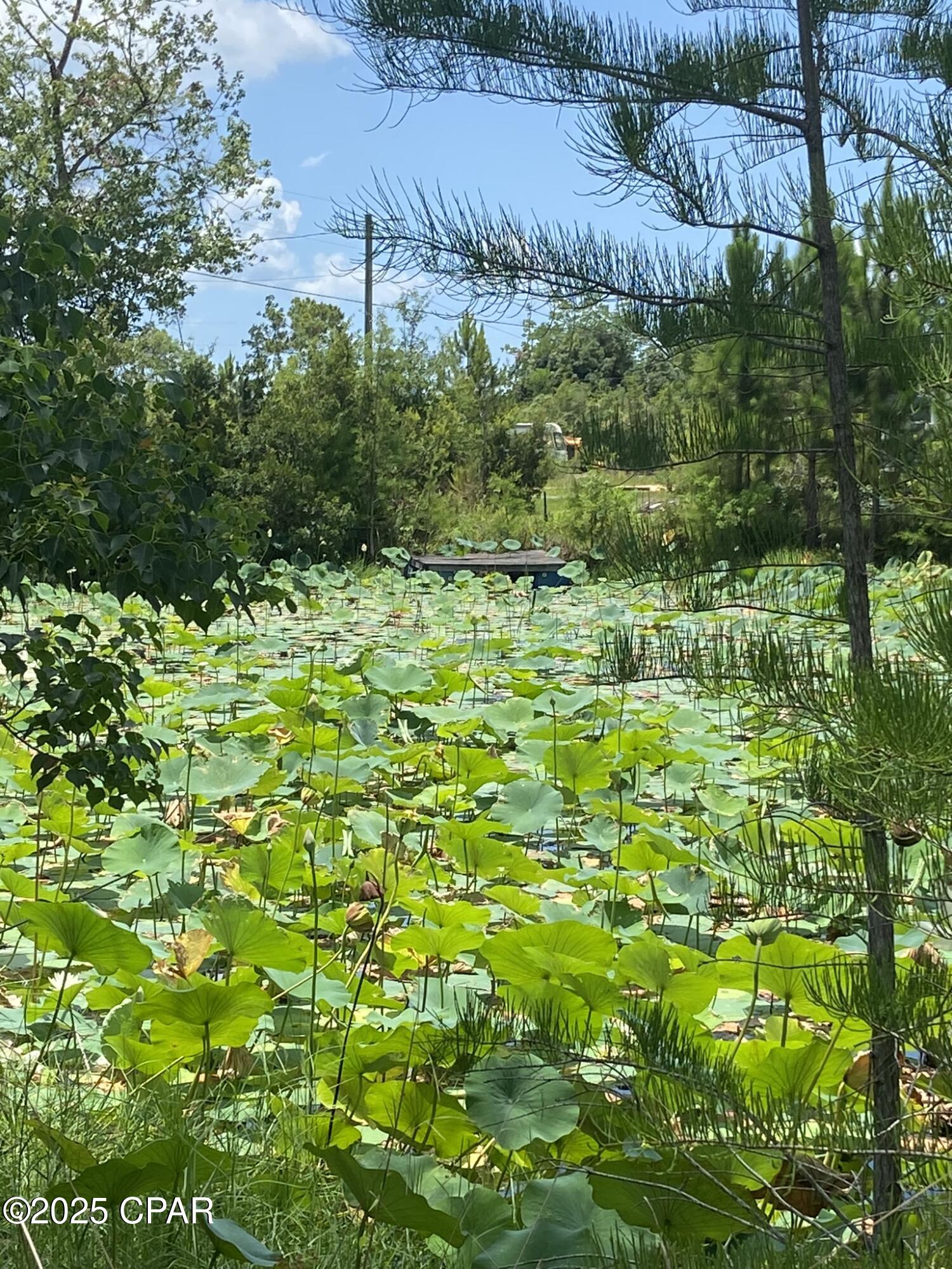 Image 50 For 140 Elm Way 