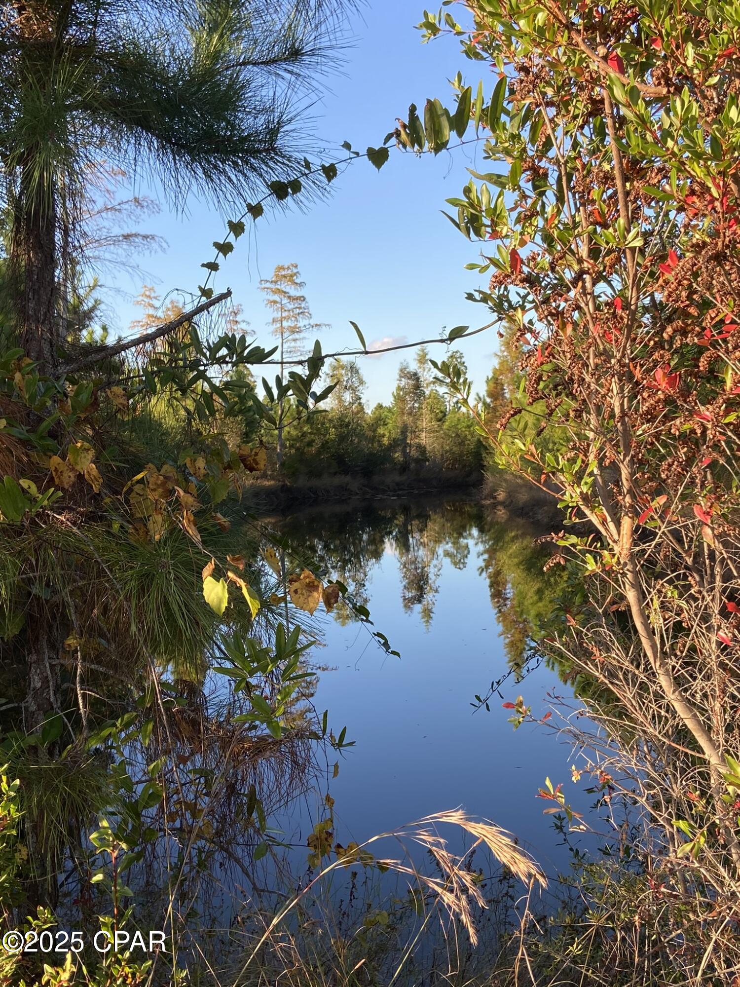 Image 51 For 140 Elm Way 