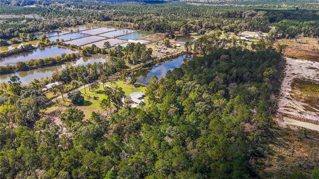 Homes for sale in Holden, LA | B 2 Bennett Rd, Holden, LA 70744 | MLS# 2532305