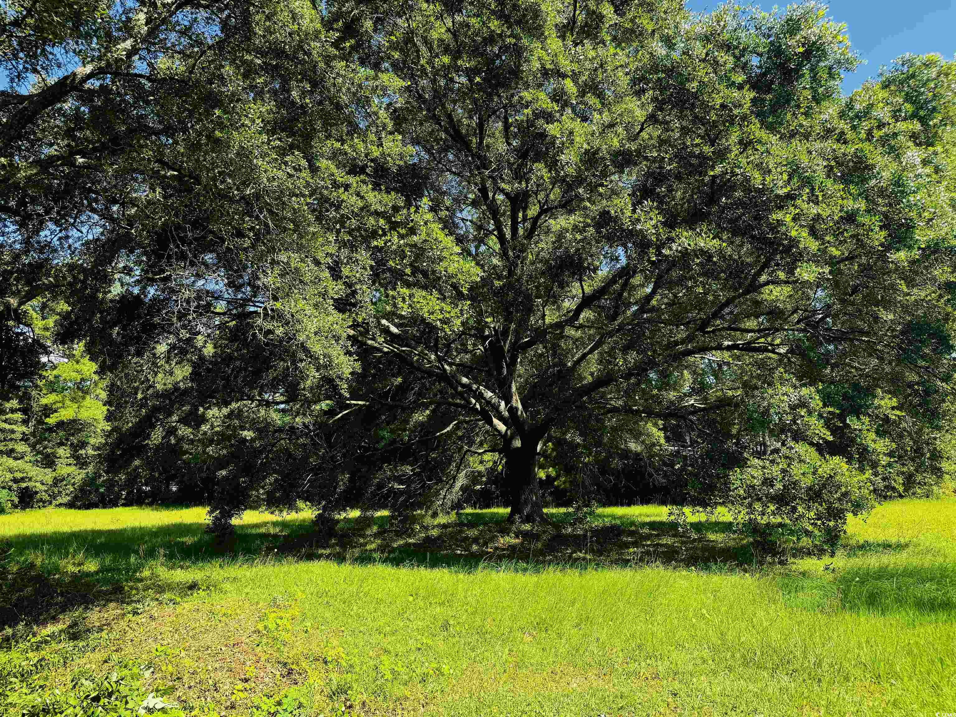 TBD South Bay St. Georgetown, SC 29440