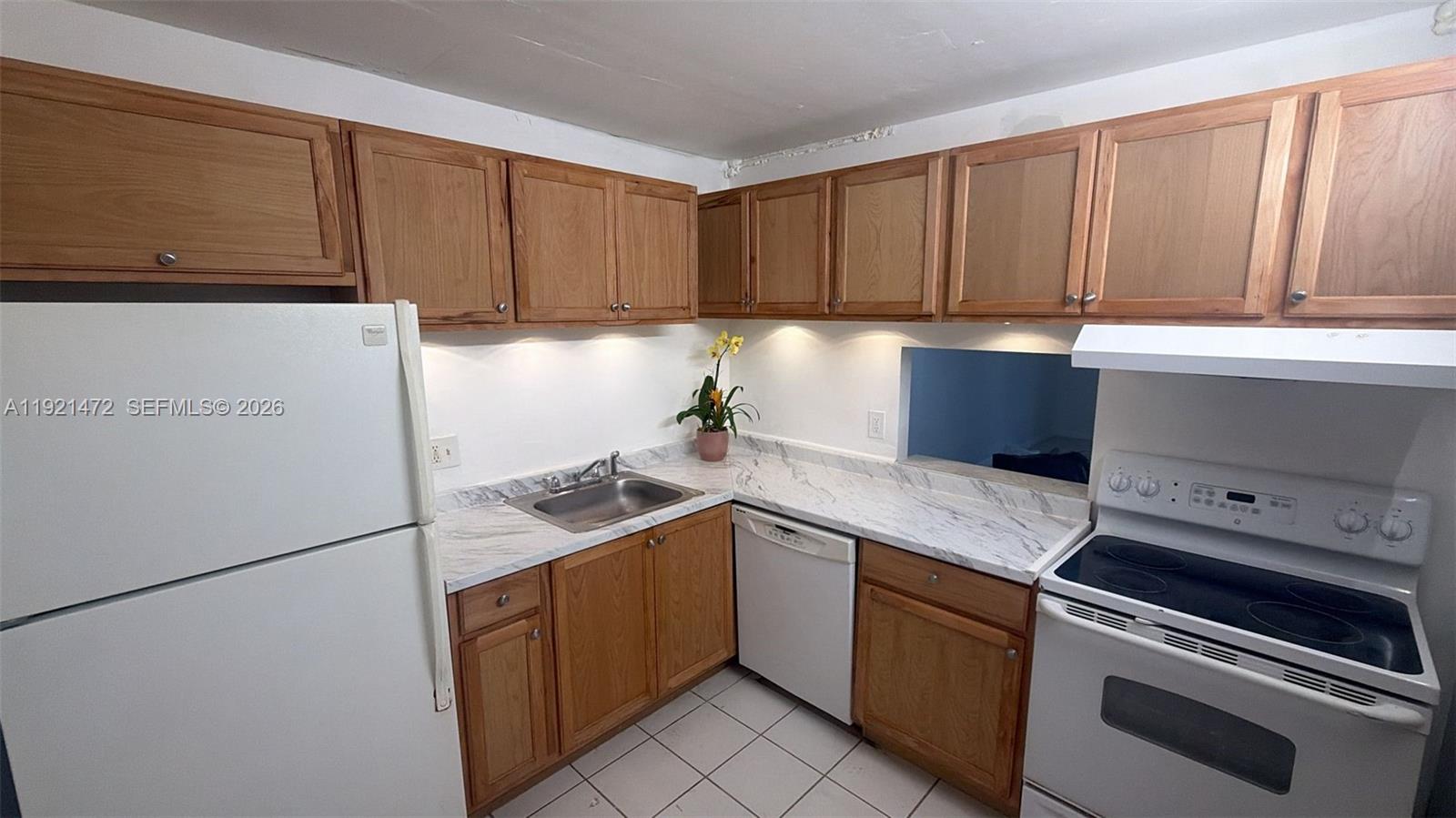 Breakwaters Of The Palm B