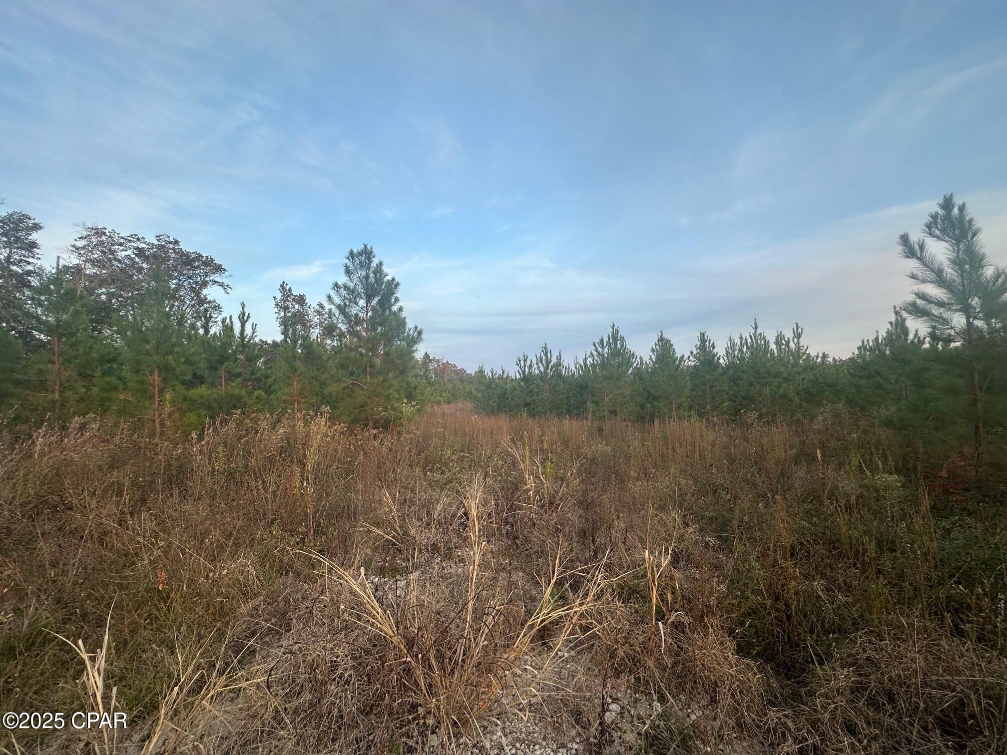 Image 6 For 000 Bright Prospect Road