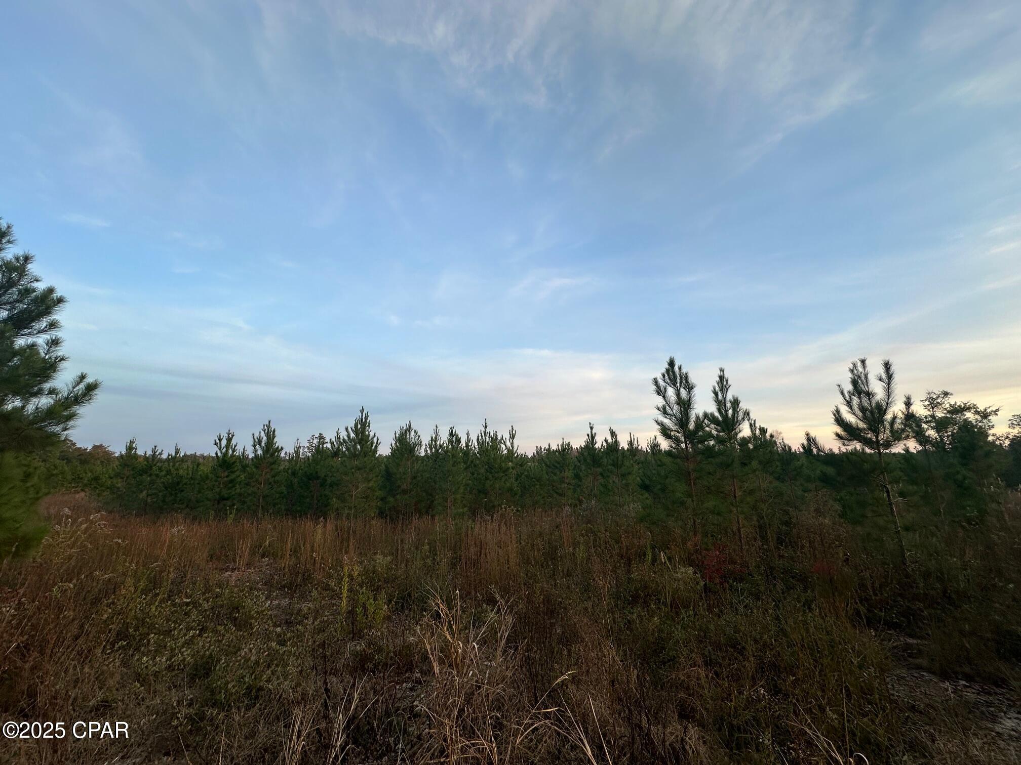 Image 8 For 000 Bright Prospect Road