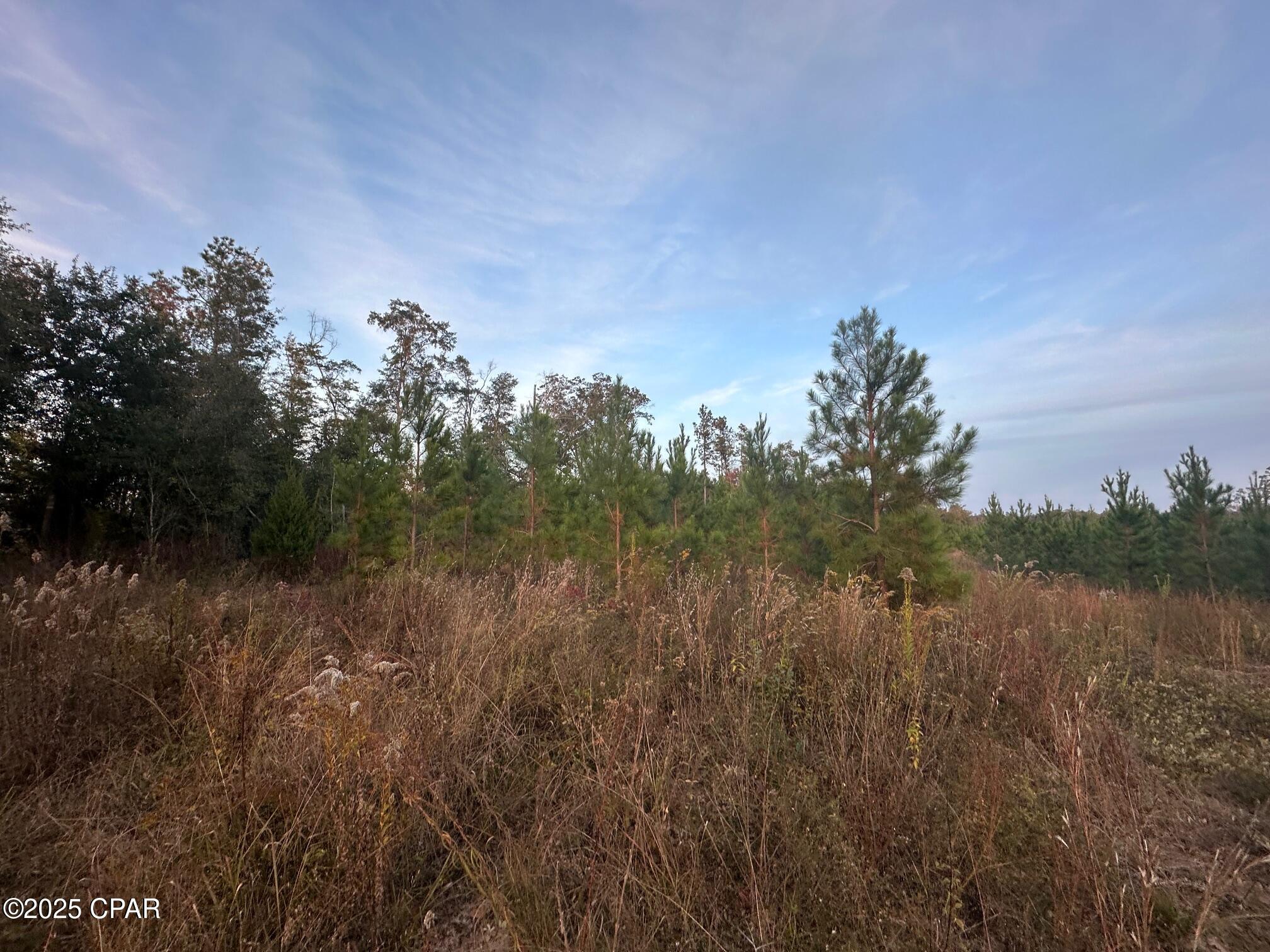 Image 9 For 000 Bright Prospect Road