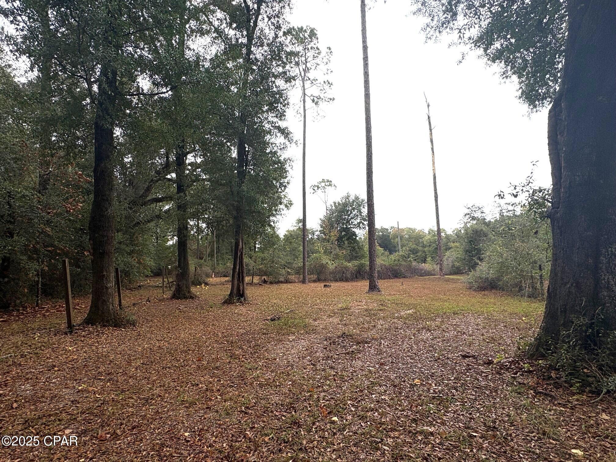 Image 55 For 5853 Catalina Lane