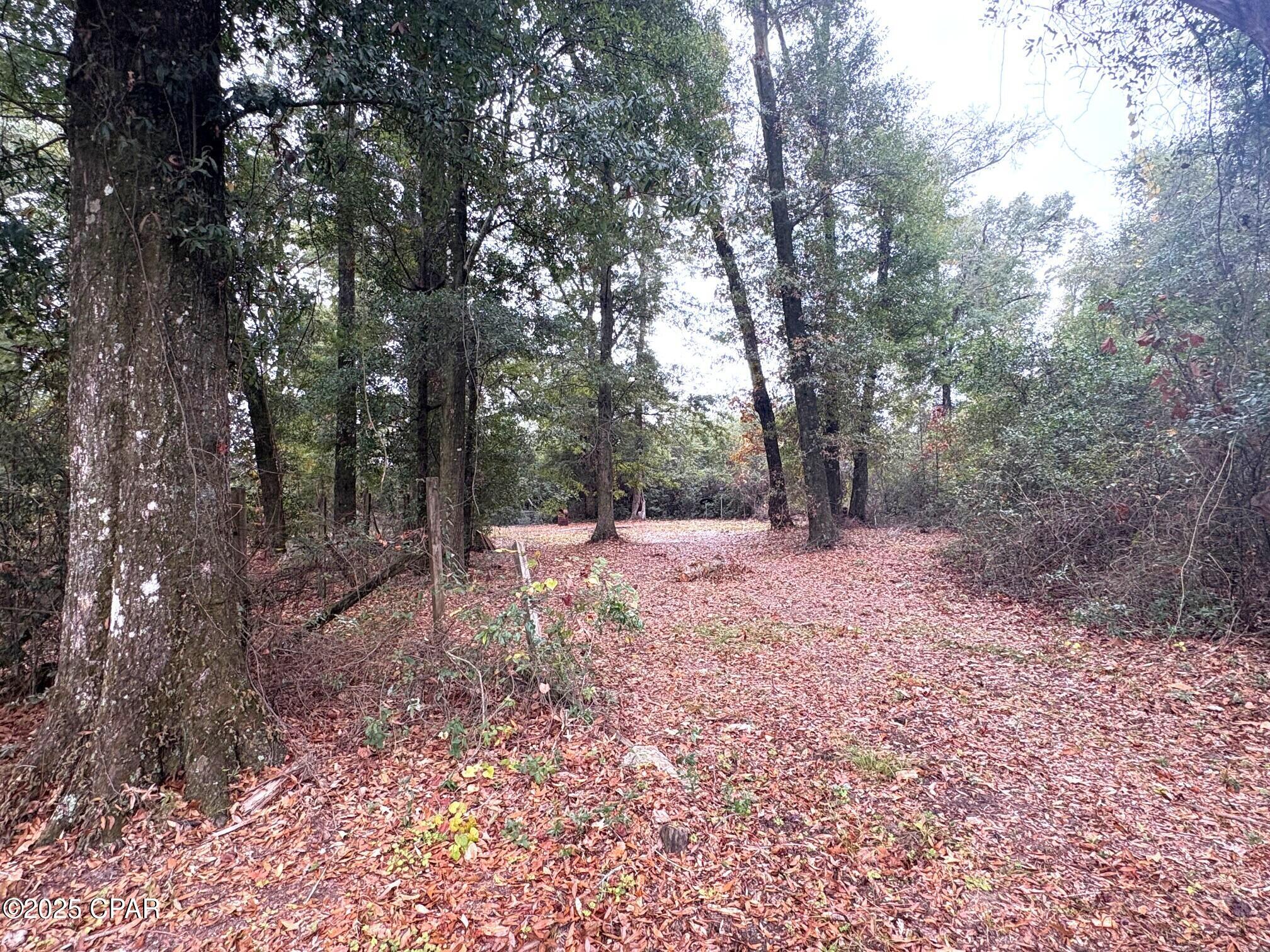 Image 56 For 5853 Catalina Lane