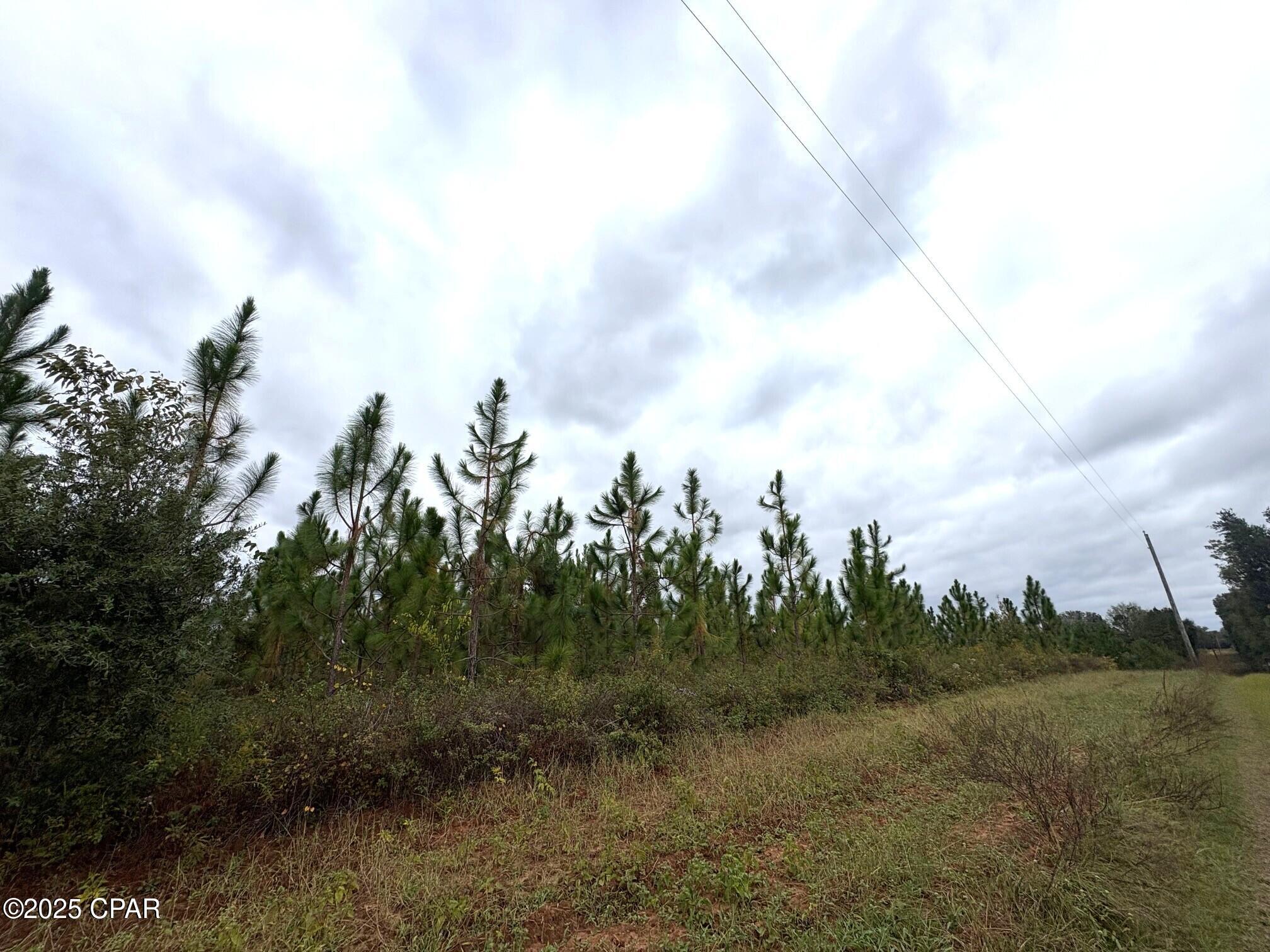 Image 10 For Tbd North Golden Road