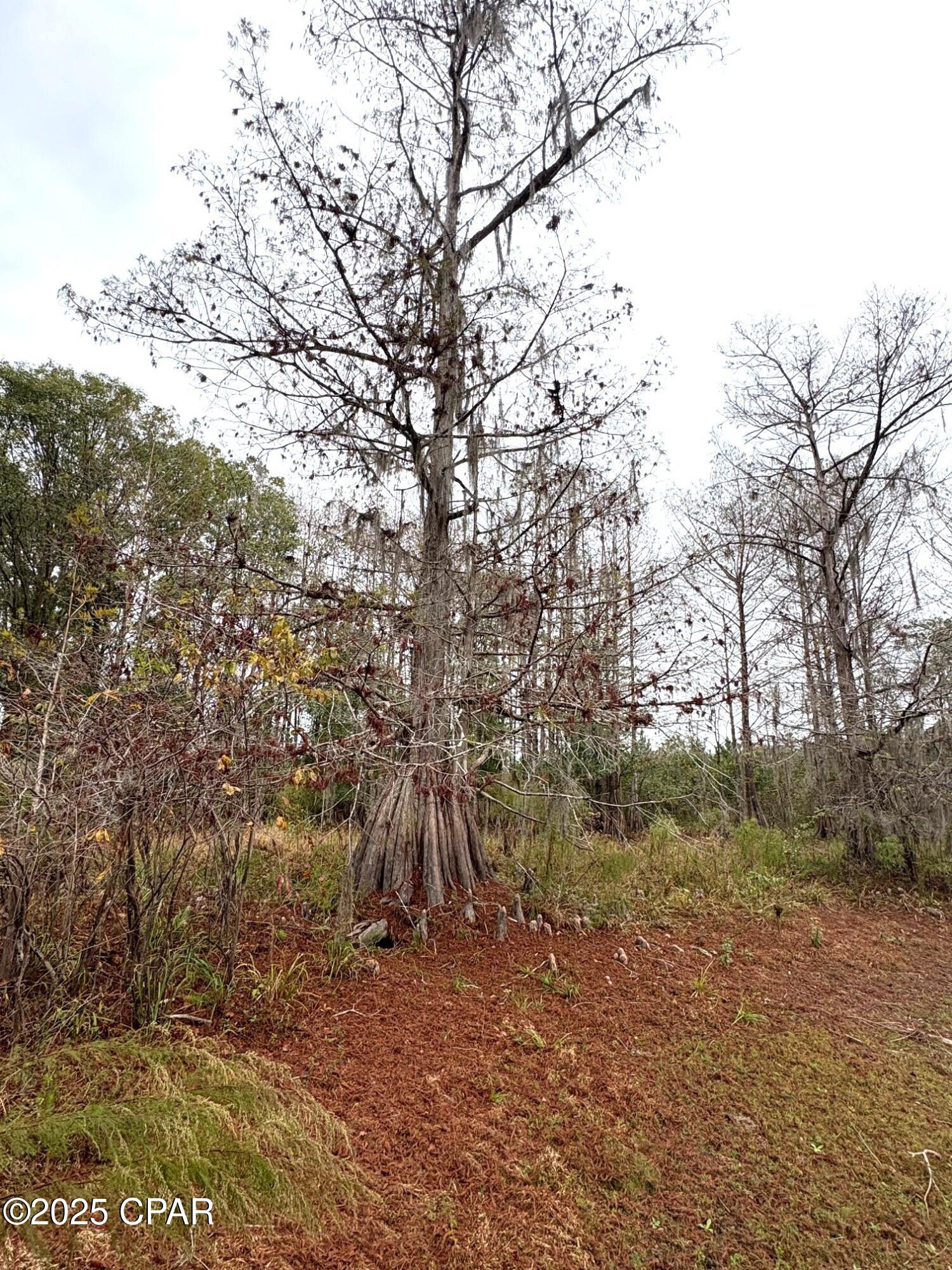 Image 11 For Tbd North Golden Road