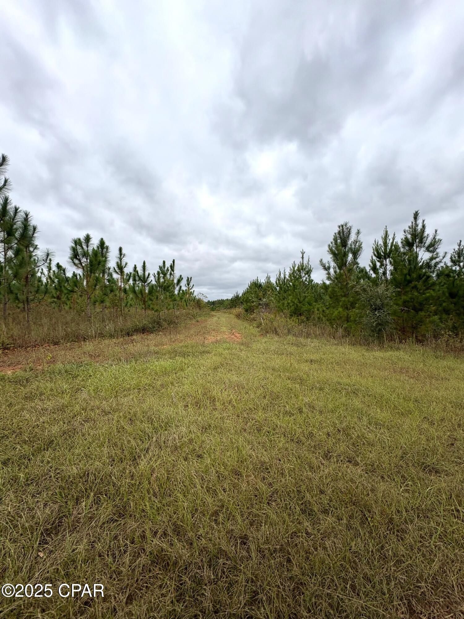 Image 13 For Tbd North Golden Road