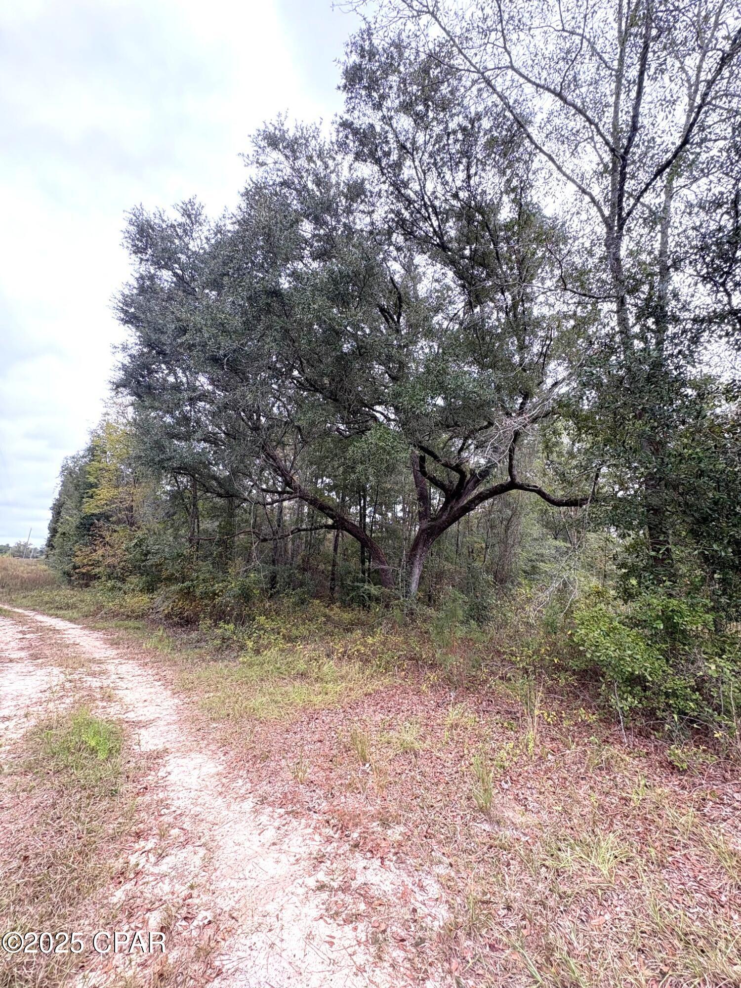 Image 14 For Tbd North Golden Road