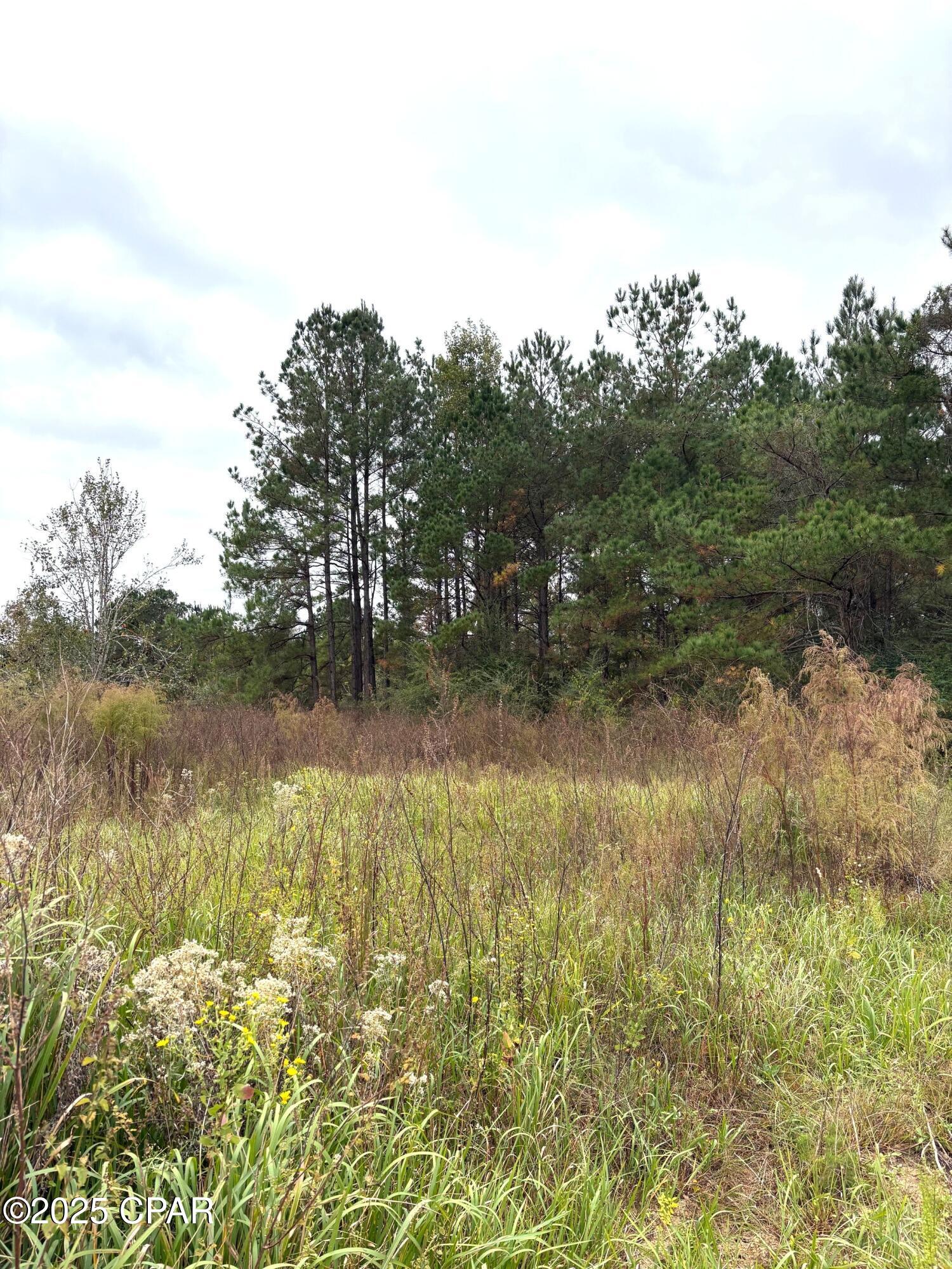 Image 15 For Tbd North Golden Road