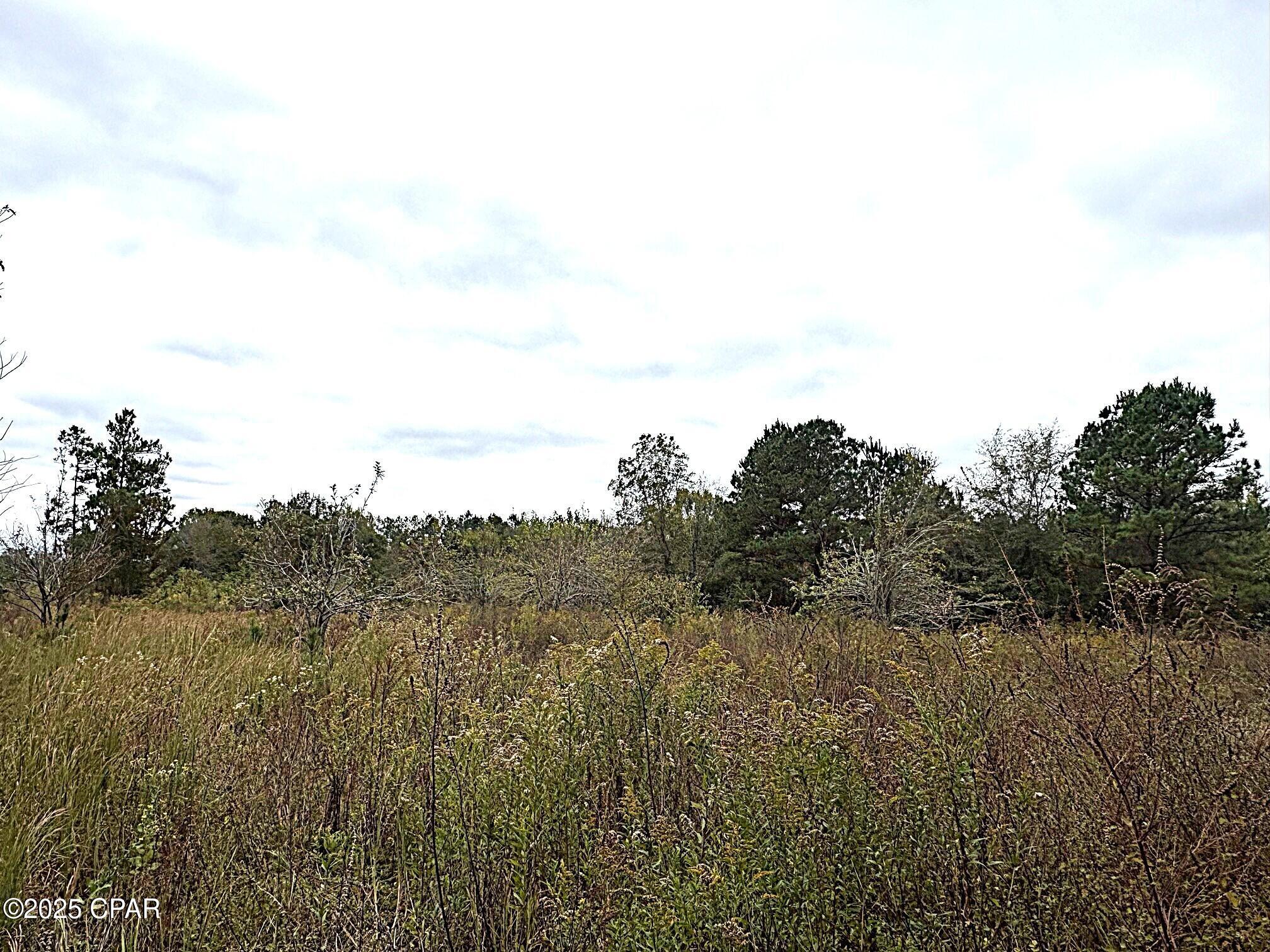 Image 17 For Tbd North Golden Road