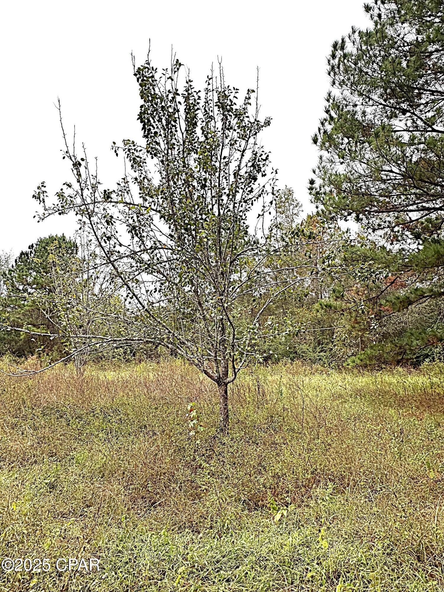 Image 18 For Tbd North Golden Road