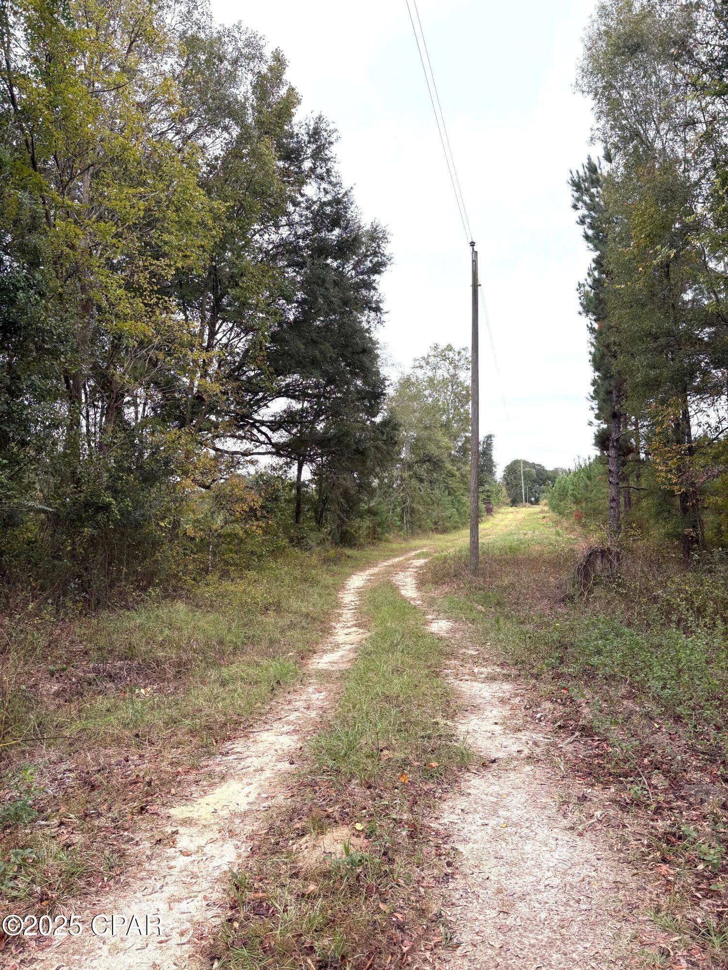 Image 21 For Tbd North Golden Road