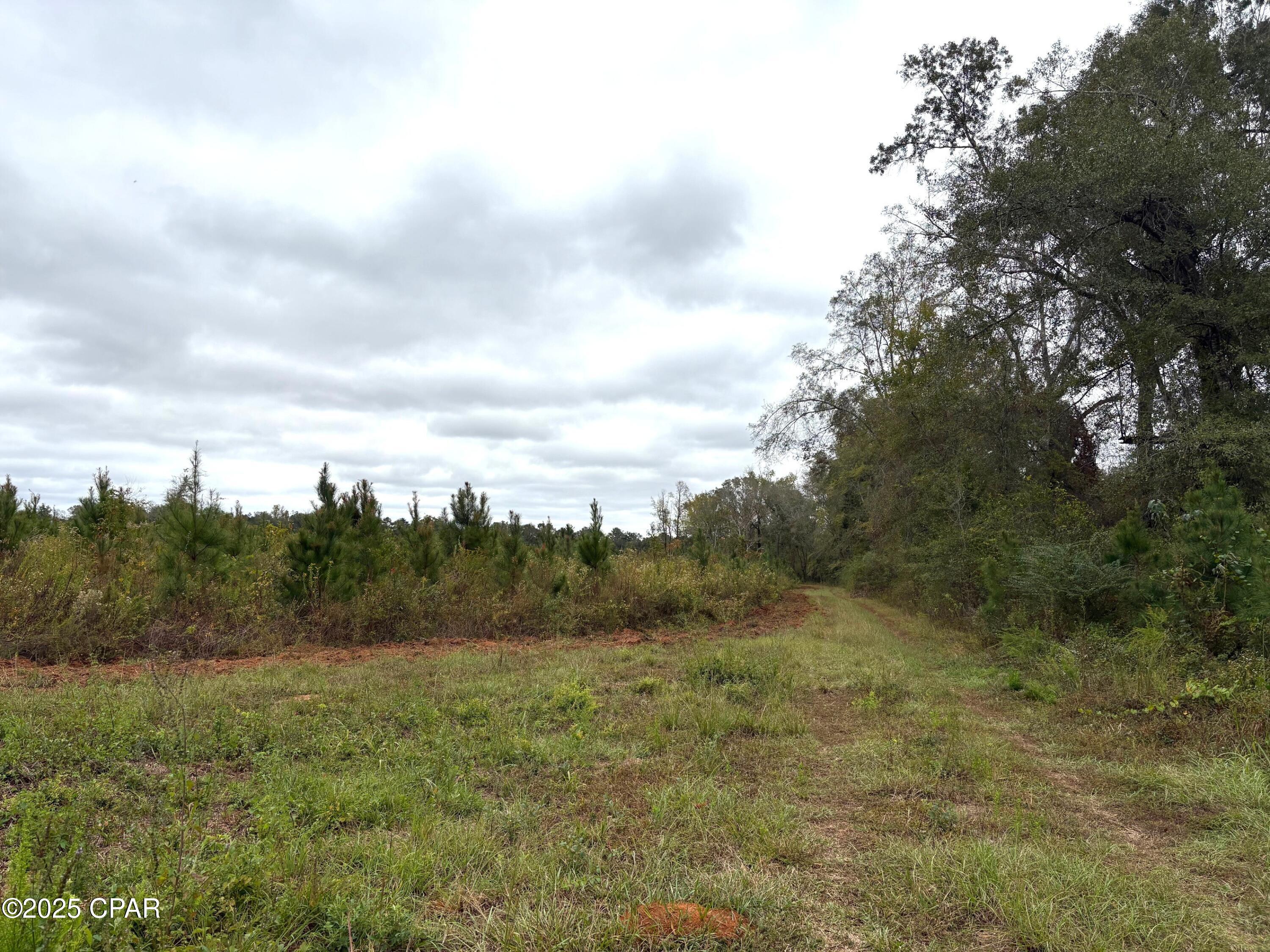 Image 3 For Tbd North Golden Road