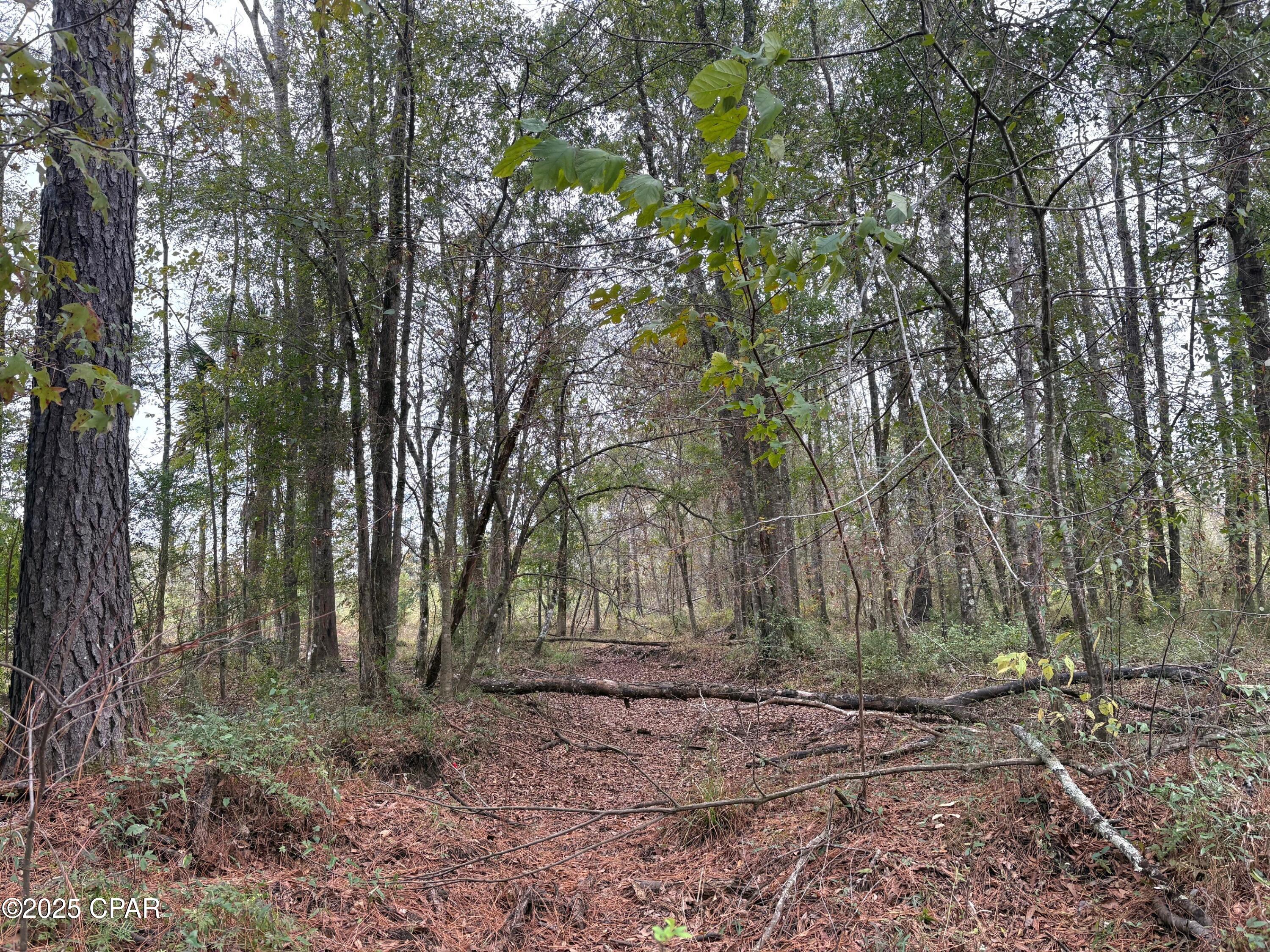 Image 5 For Tbd North Golden Road