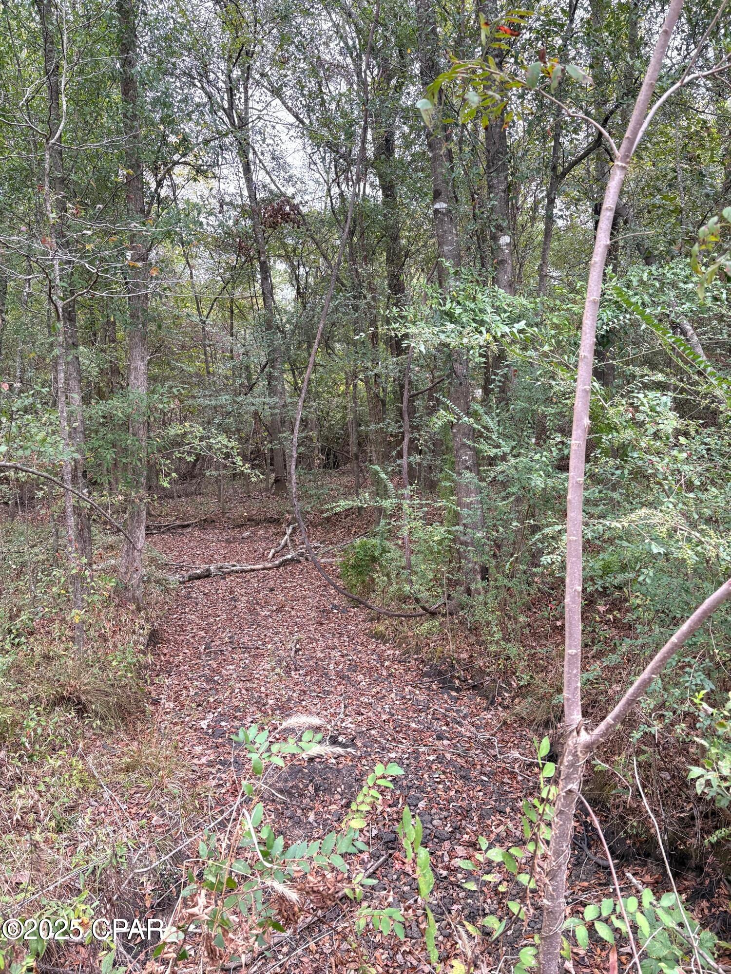 Image 6 For Tbd North Golden Road