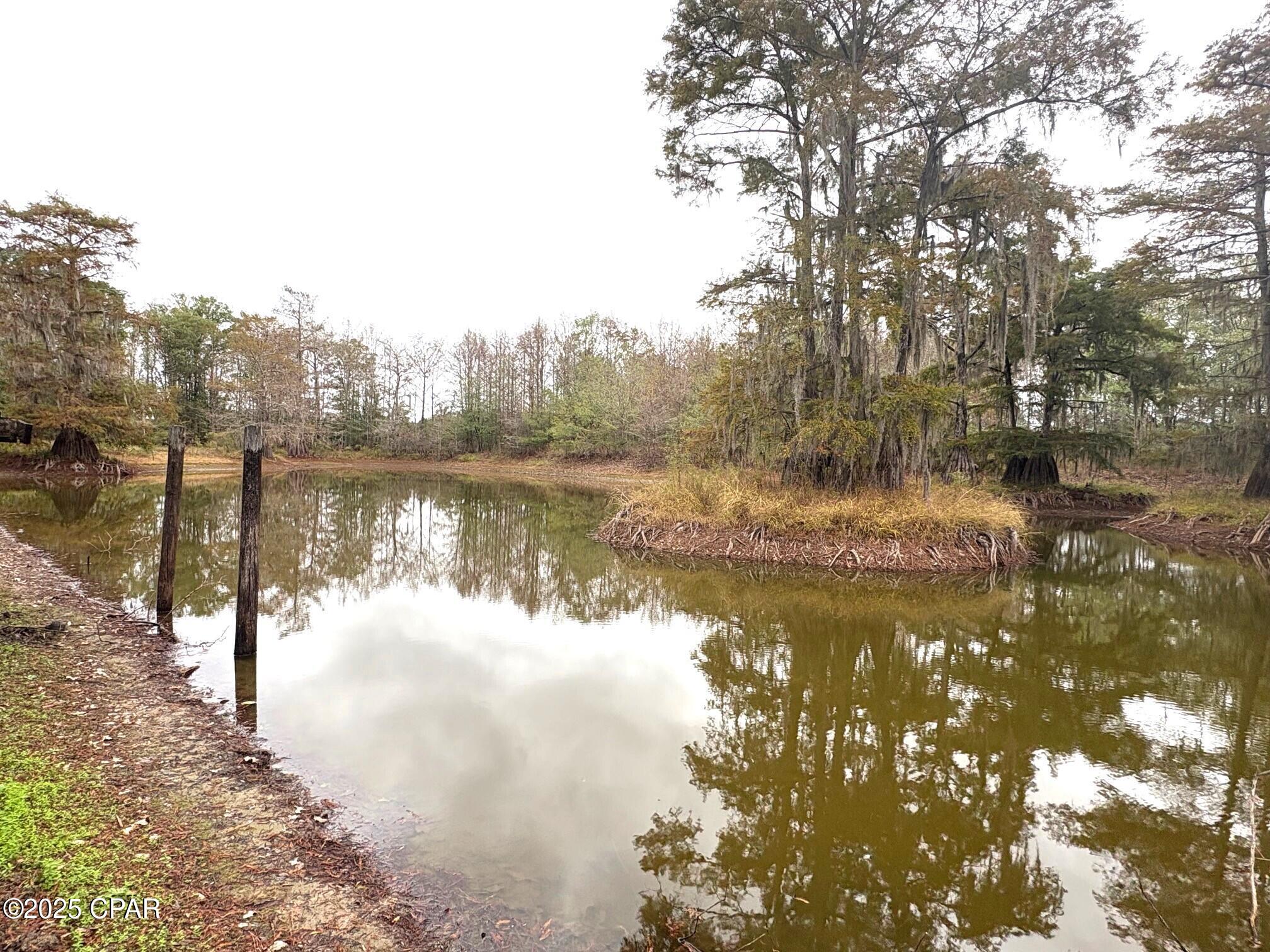 Image 64 For Tbd North Golden Road