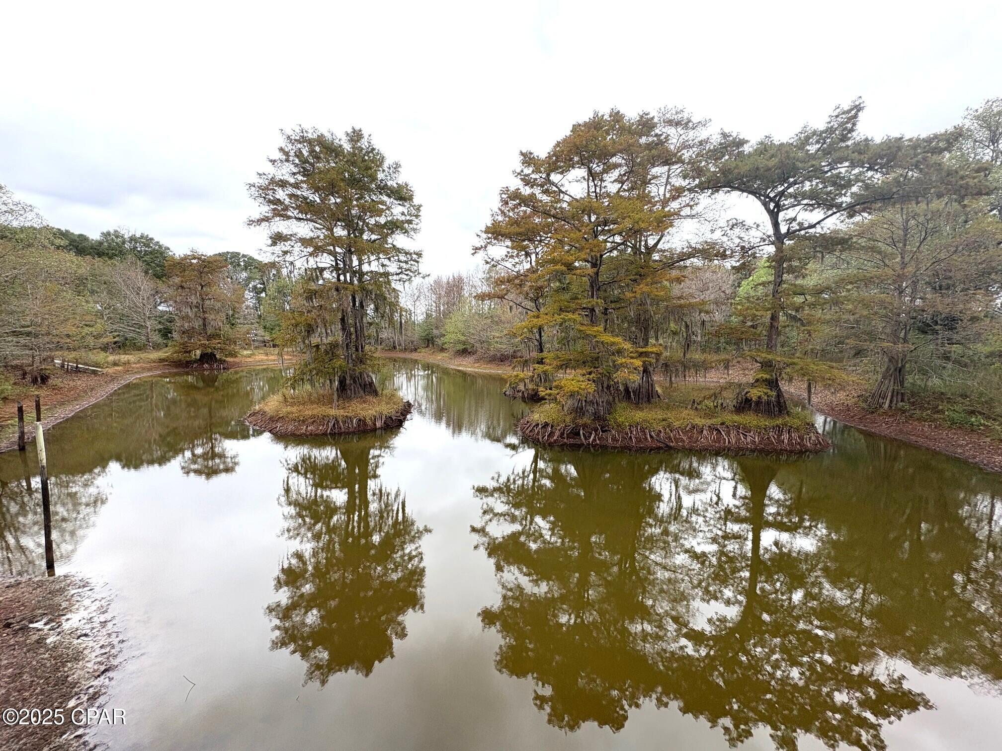 Image 66 For Tbd North Golden Road