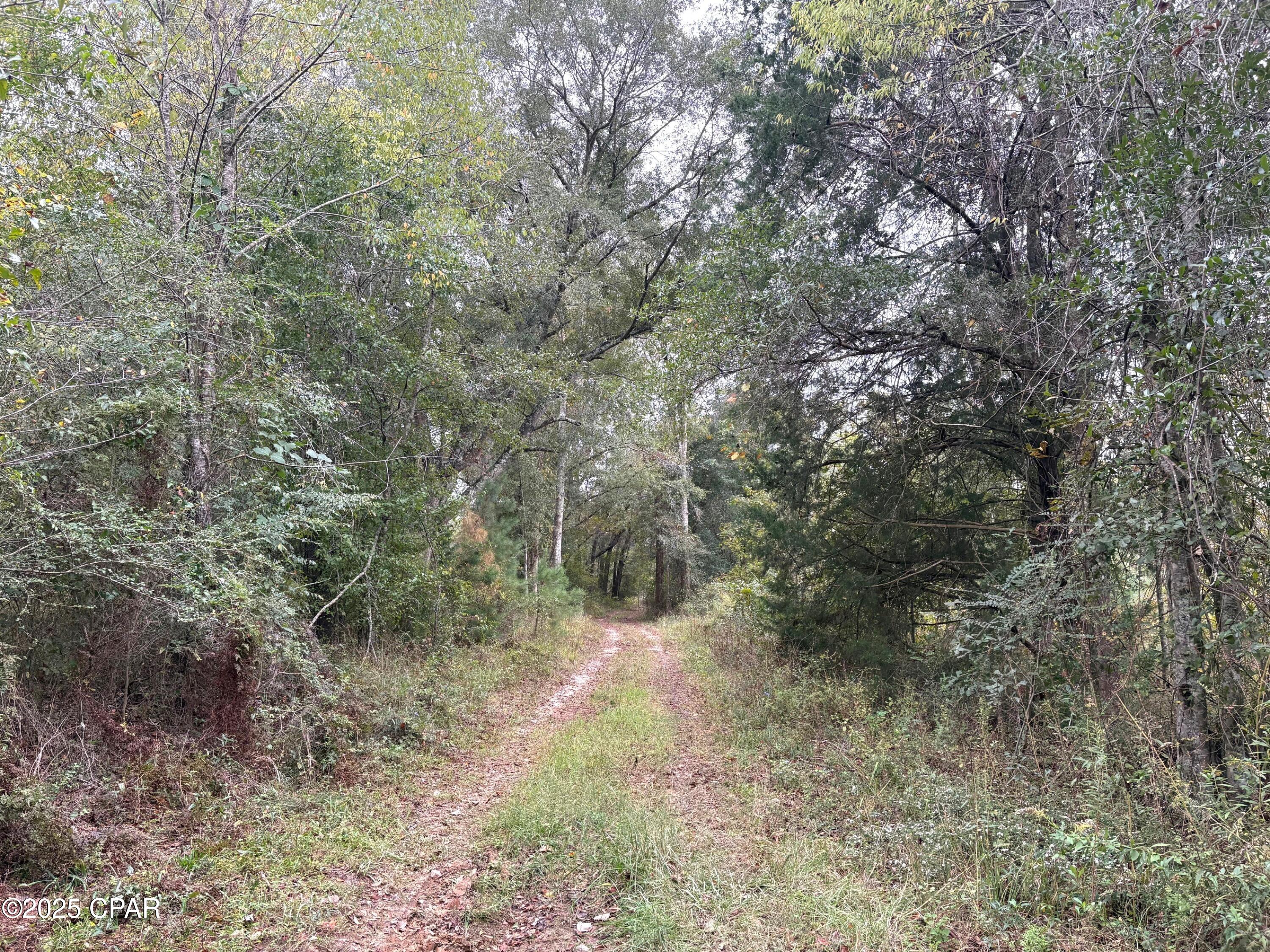 Image 7 For Tbd North Golden Road