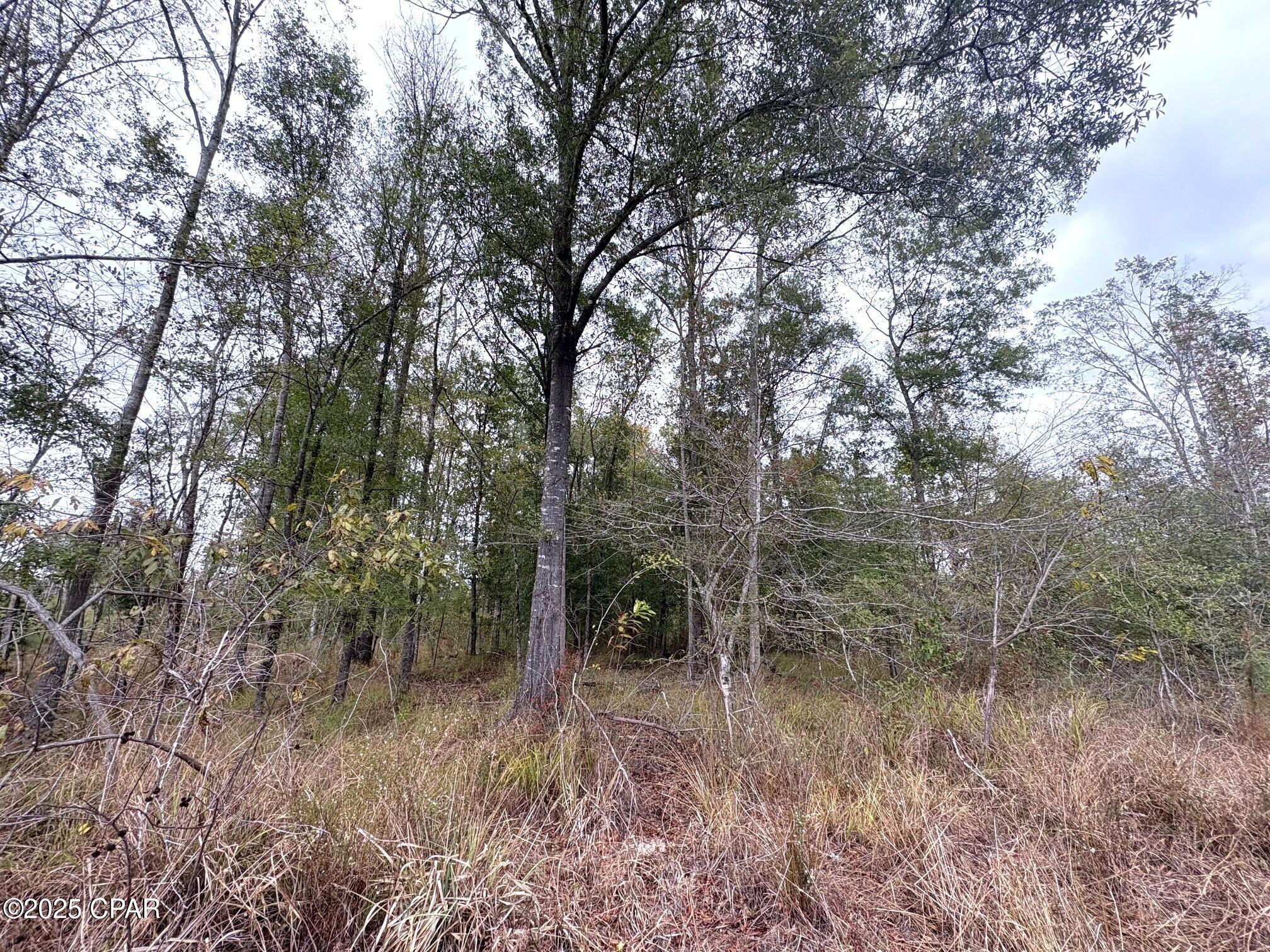 Image 8 For Tbd North Golden Road