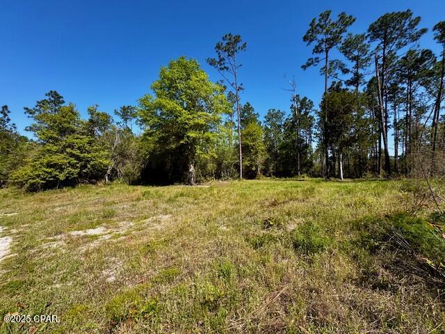 Details for Tbd Akers Trail, Chipley, FL 32428