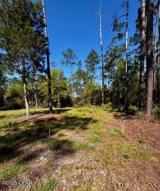 Image 4 For Tbd Akers Trail