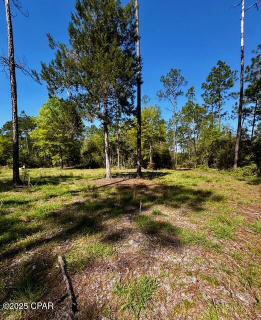 Image 5 For Tbd Akers Trail