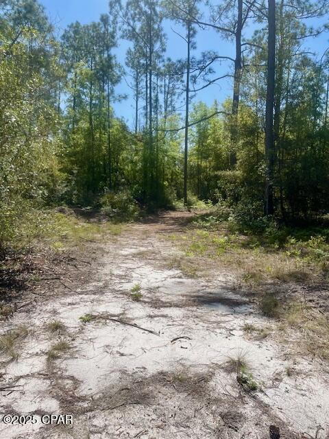 Image 6 For Tbd Akers Trail