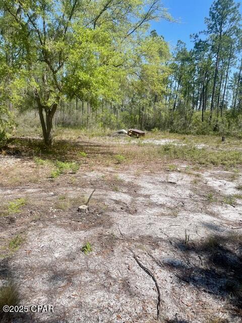 Image 8 For Tbd Akers Trail