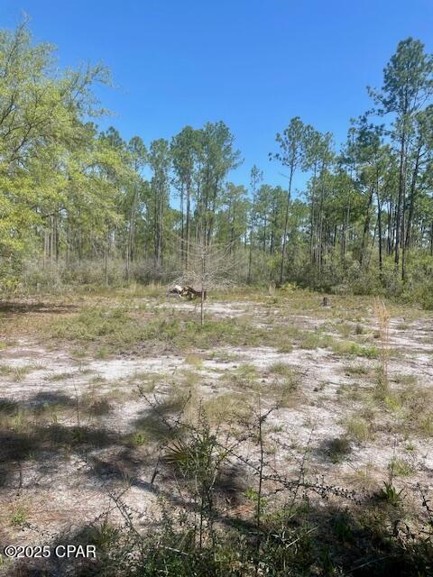 Image 9 For Tbd Akers Trail