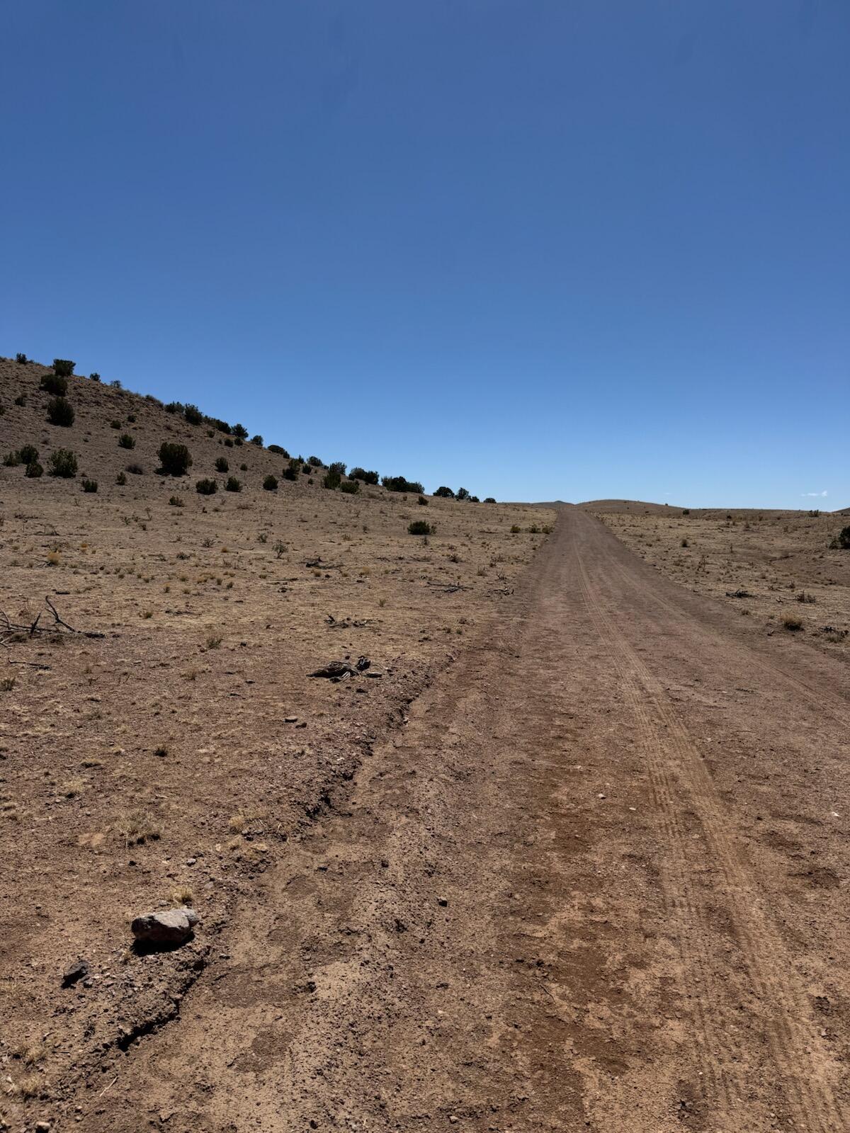 Homes for sale in San Antonio, NM | Lot 18 Willow Springs Ranch, San Antonio, NM 87832 | MLS# 1095059