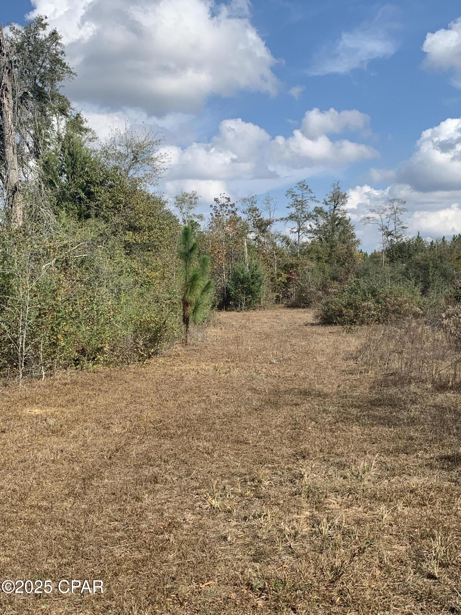 Image 65 For 8225 County Road 12